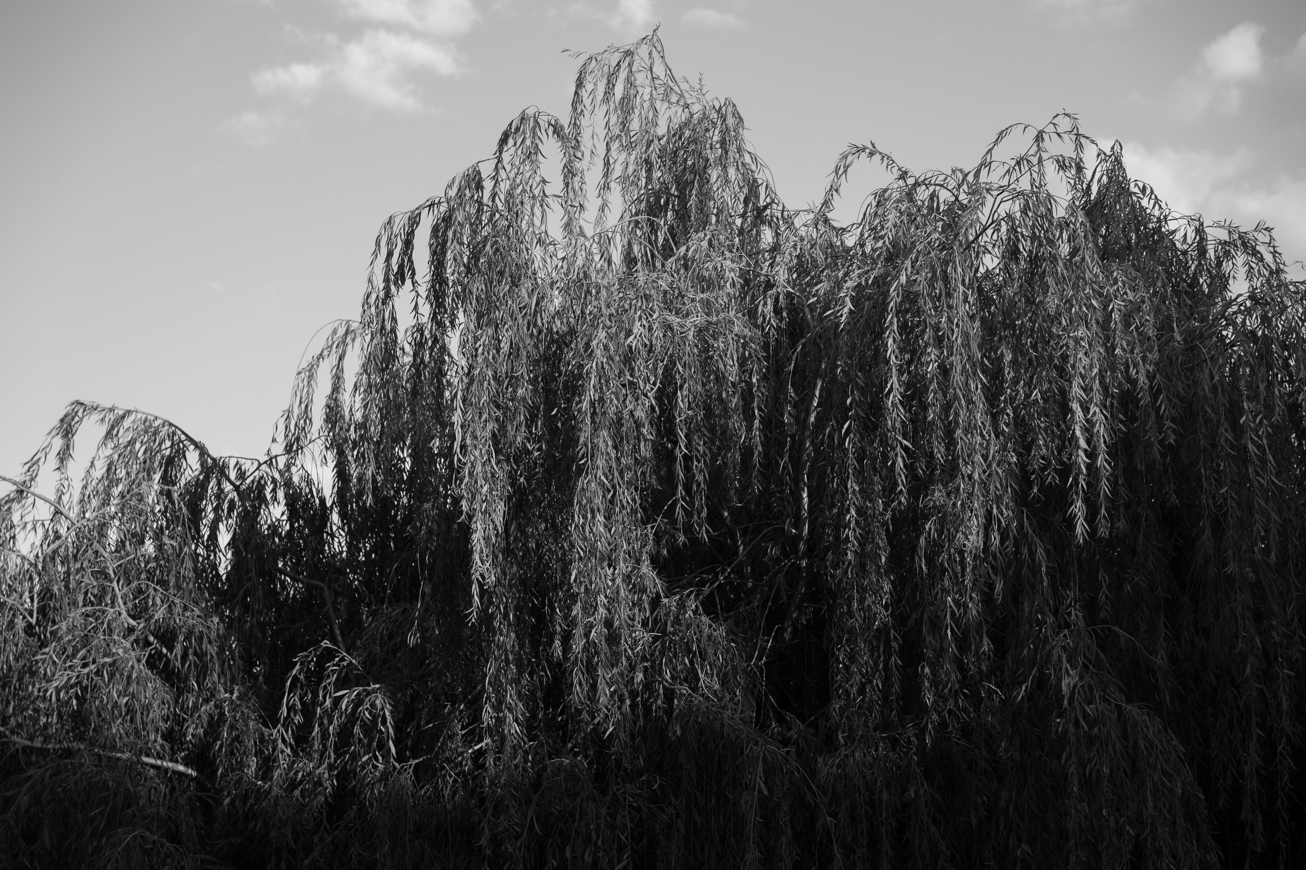 Art prints. Фотограф алина стерхова, алина стерхова фотограф, фотограф москва