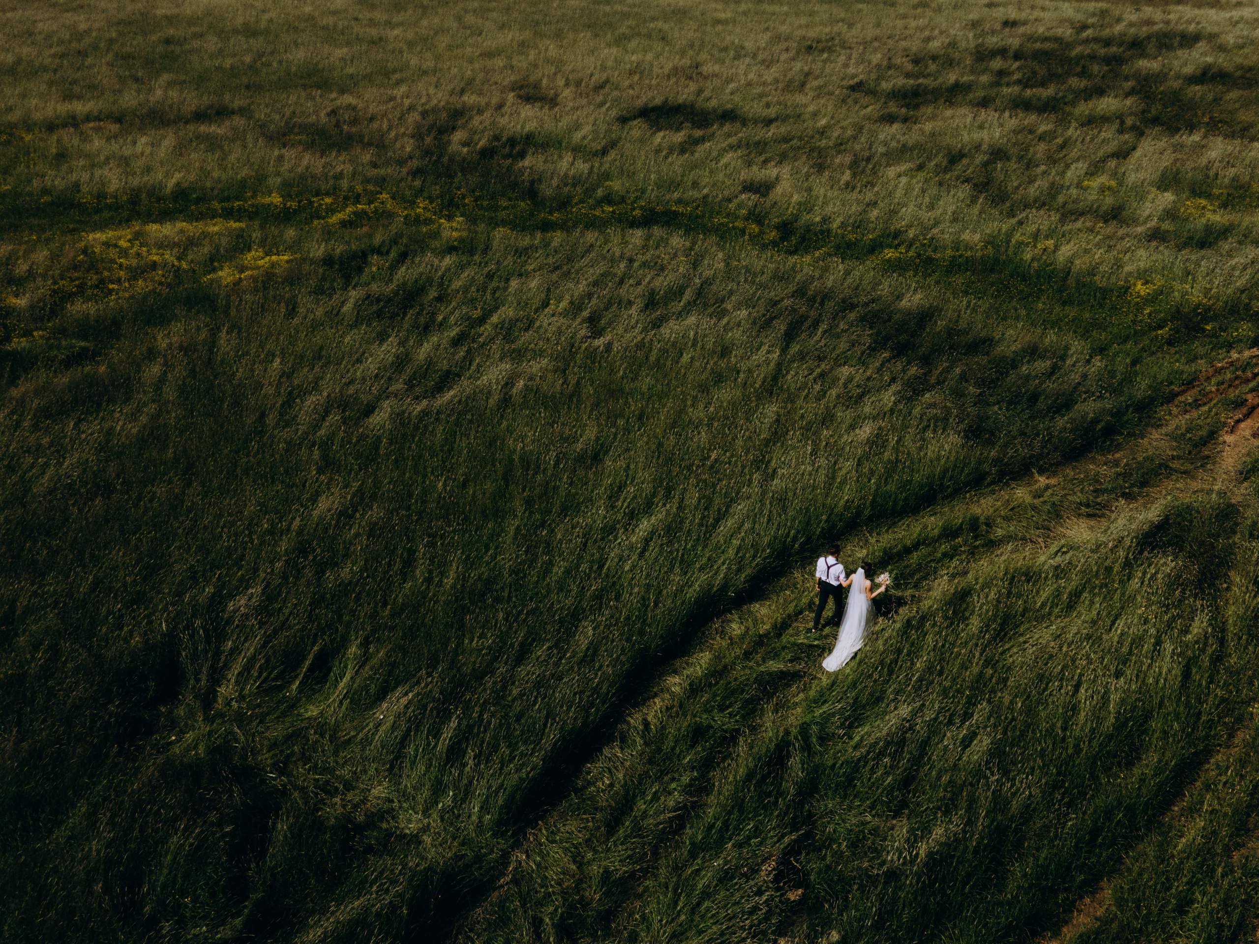 Таня & Дима. Свадебный фотограф Москва и Московская область