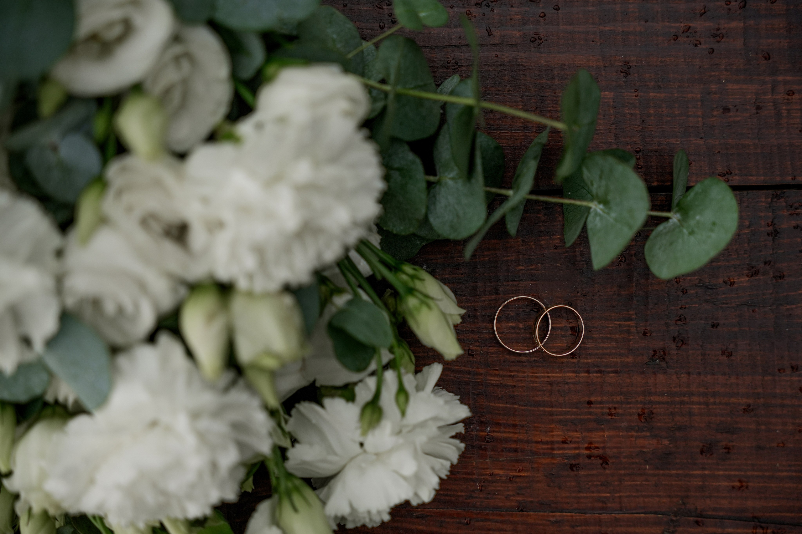 Дмитрий и Екатерина 14/06/2025. Фотограф в Смоленске Ольга Давыдова