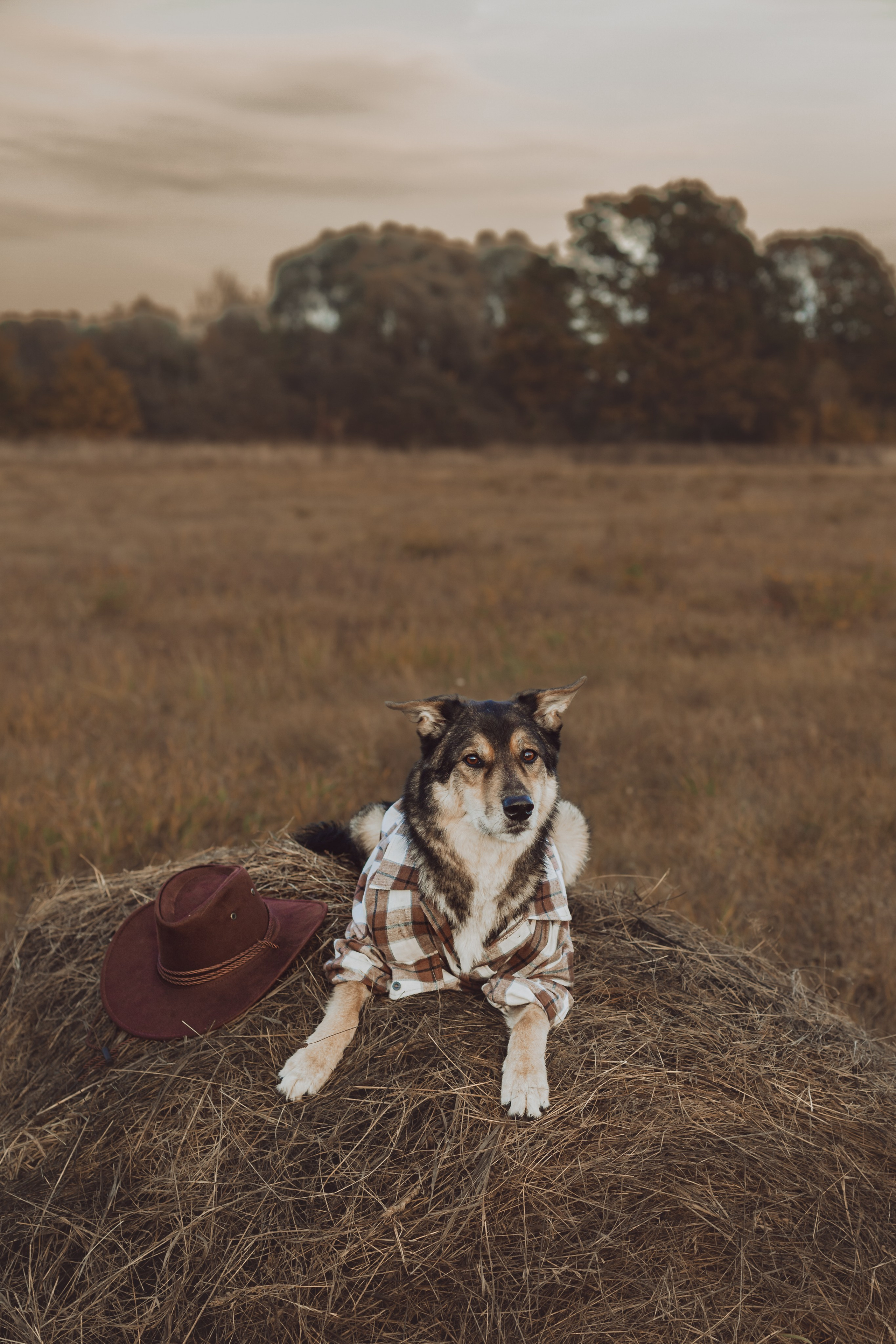 Кантри Дюк. Фотограф-анималист Татьяна Степанова