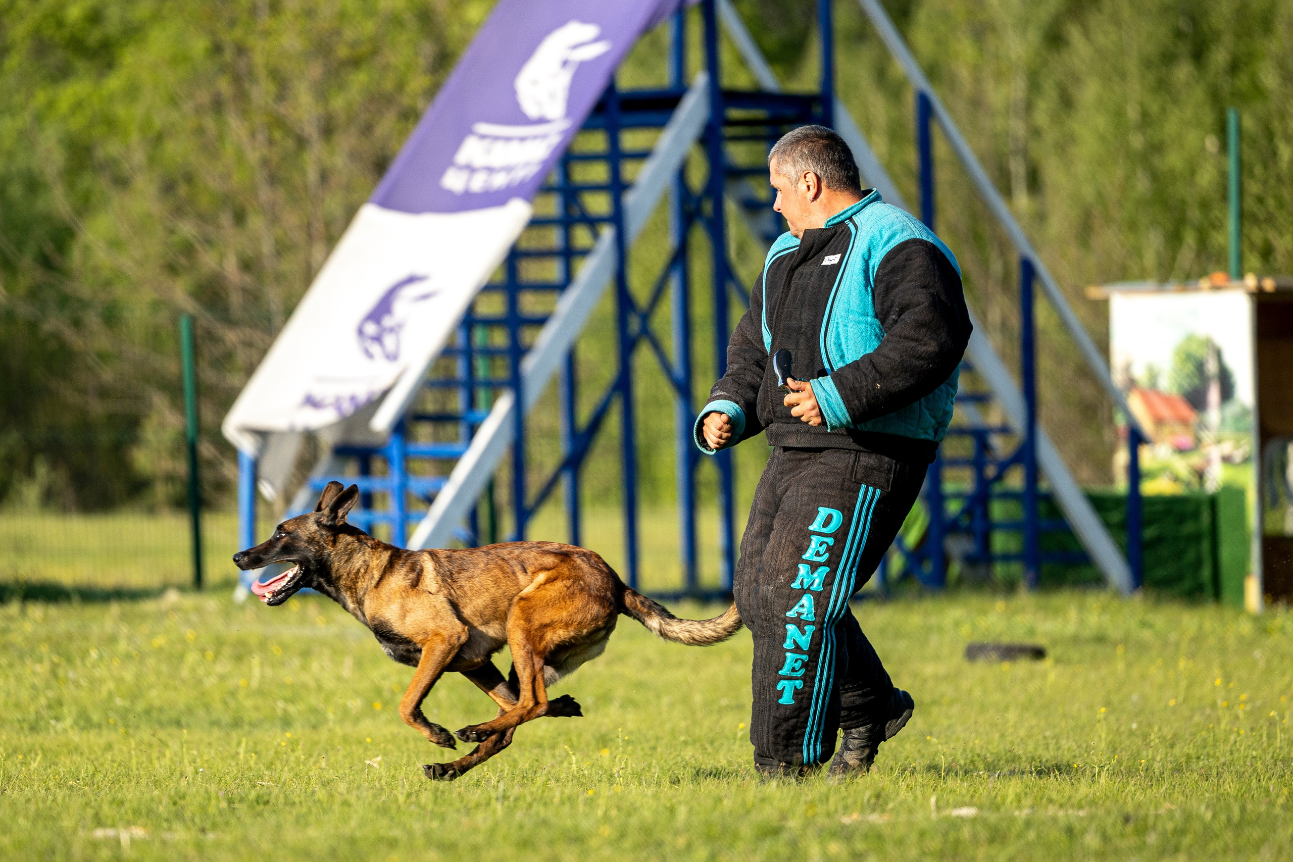 Испытания по мондьорингу в Нижнем Новгороде. Фотограф-анималист Анна Маринич