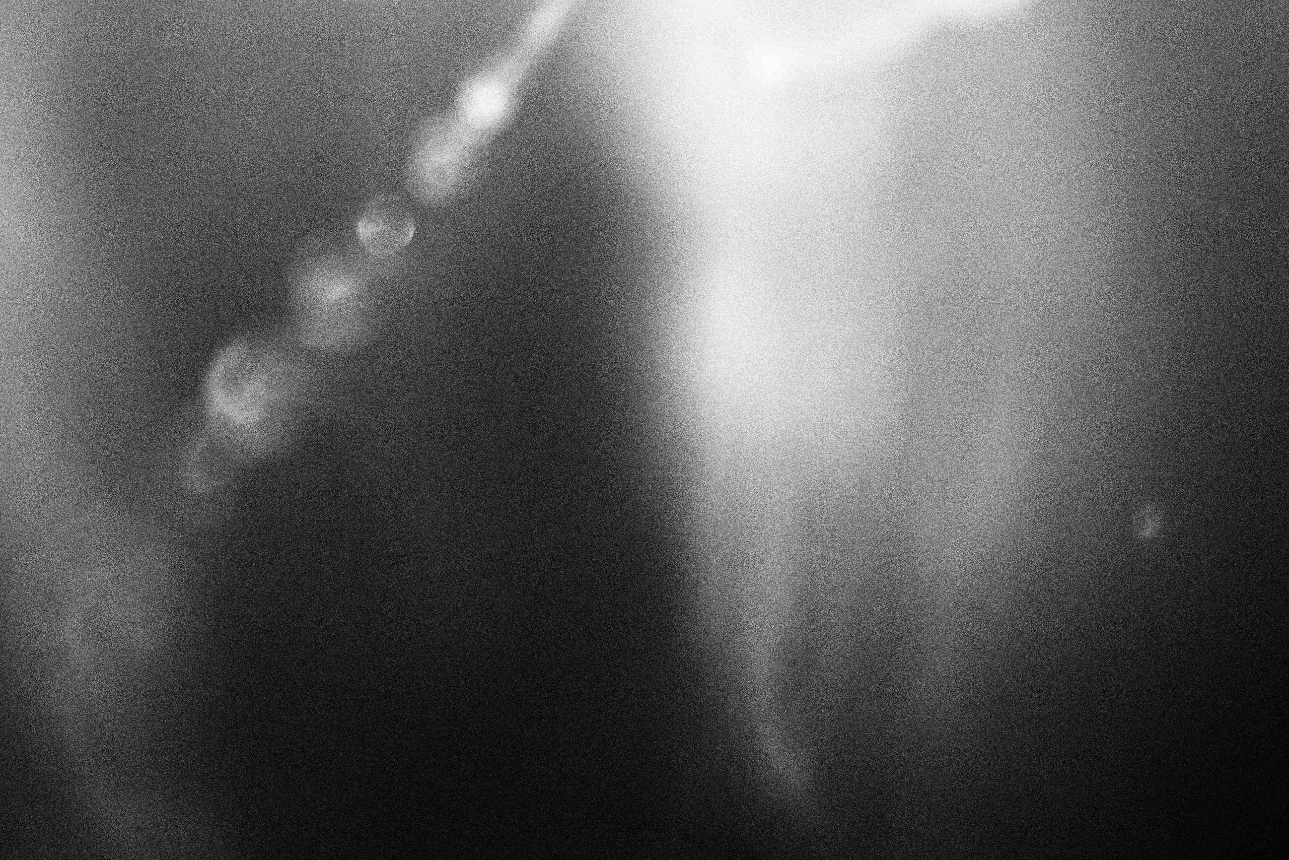 «Видеть. Чувствовать. Сохранять»