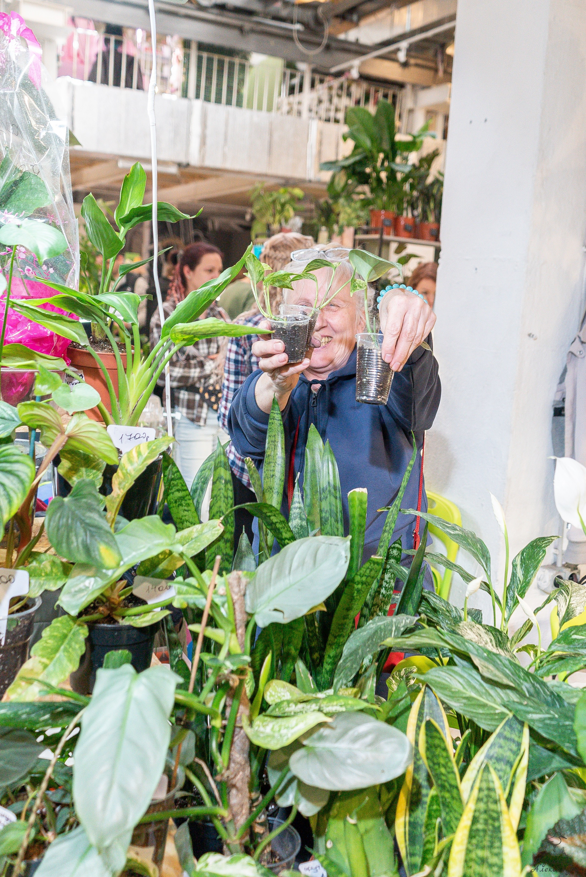 Гроубокс Артплей апрель. Александра Куликова фотограф, Москва