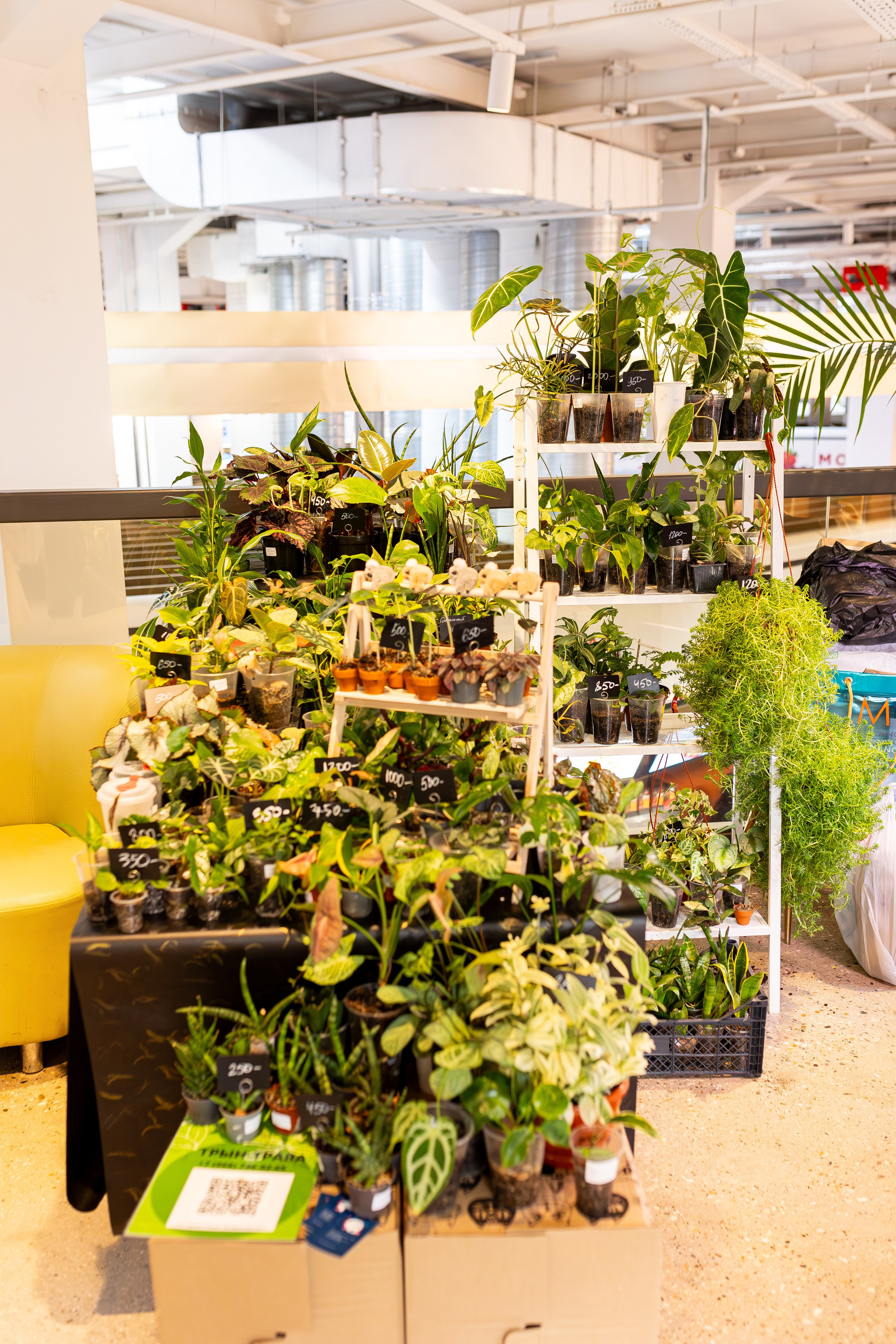 Growbox 1–2 марта. Александра Куликова фотограф, Москва