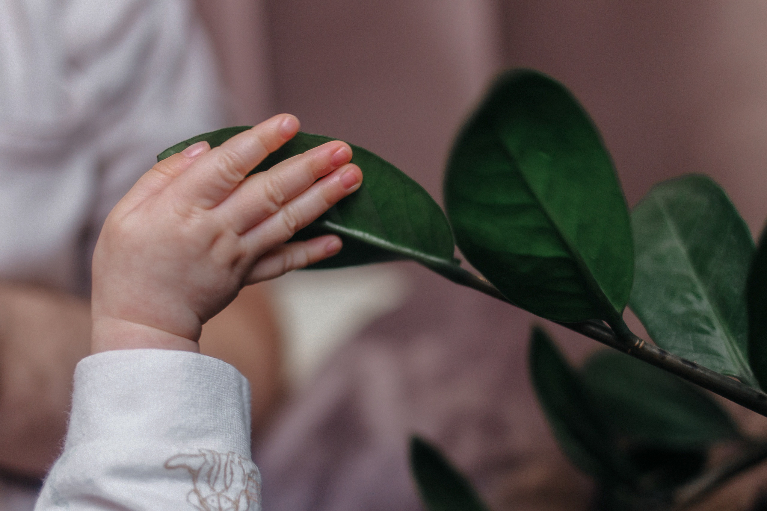 Домашняя полугодовалая. Фотограф в Уфе Кира Прозорова. Свадебные, портретные и семейные съемки
