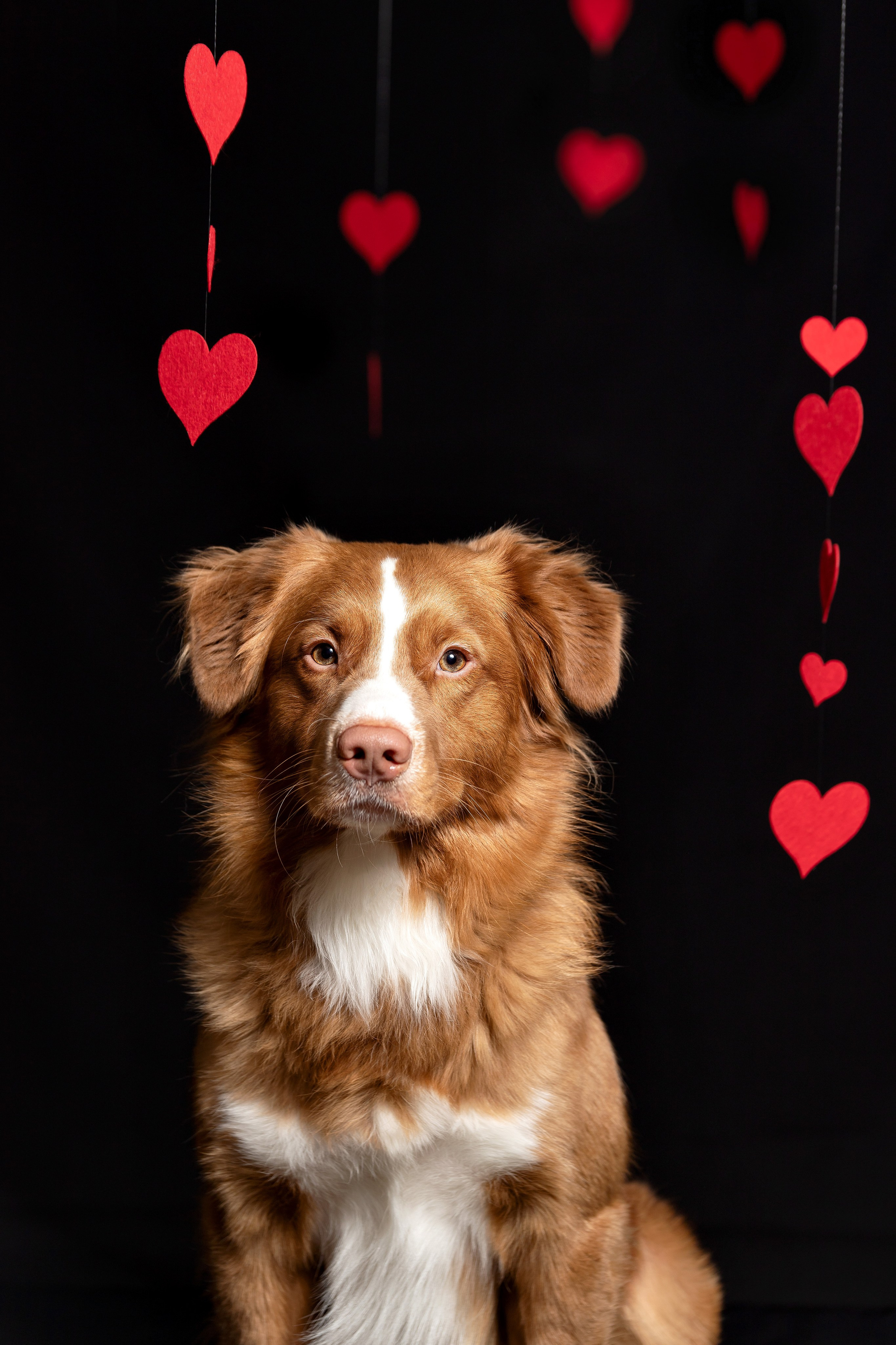 Ричард. Юлия Микульская. Рыбинск