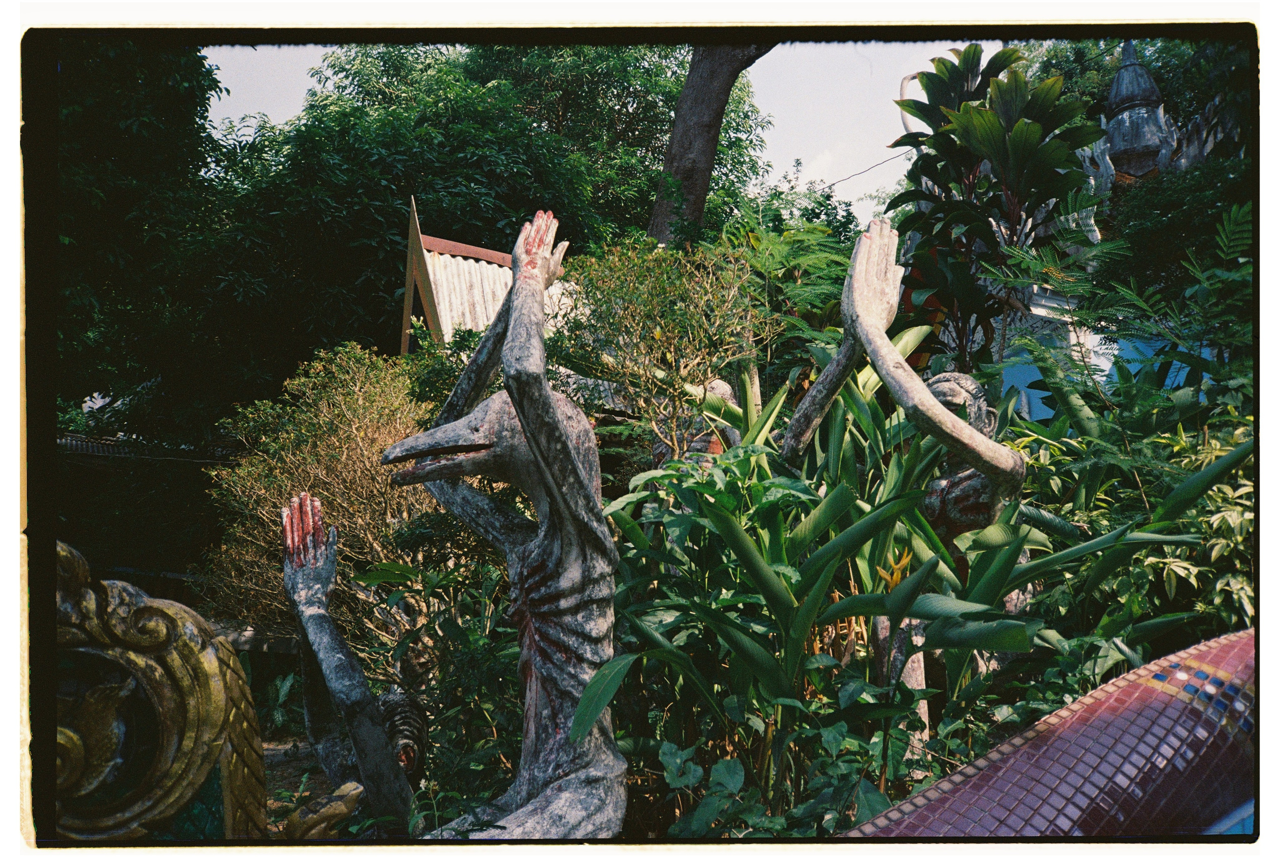 Таиланд. Портретный и репортажный фотограф в Санкт-Петербурге Дарья Сибирякова