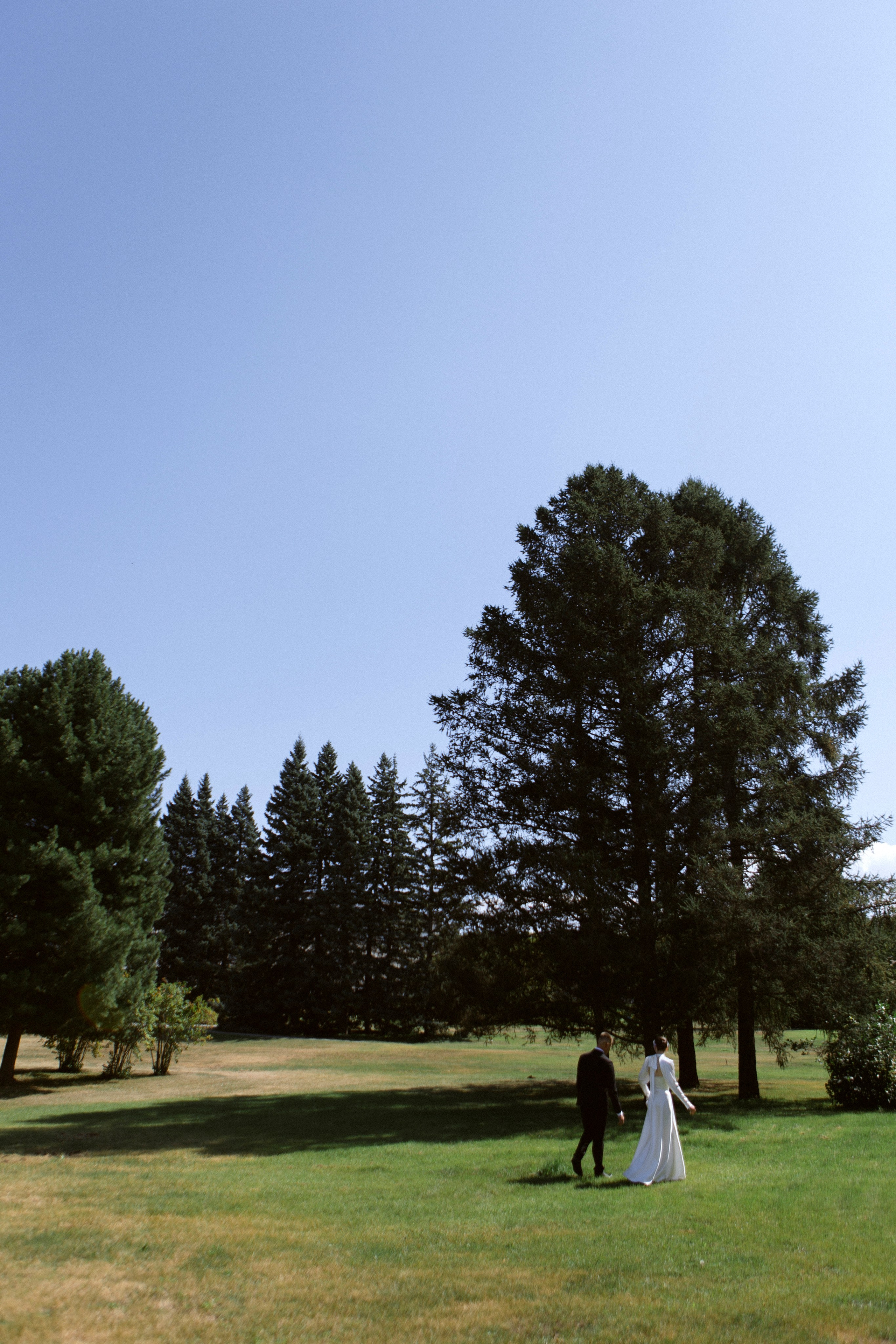 Вова & Даша. Свадебный фотограф в Барнауле и Новосибирске Лия Варкентин
