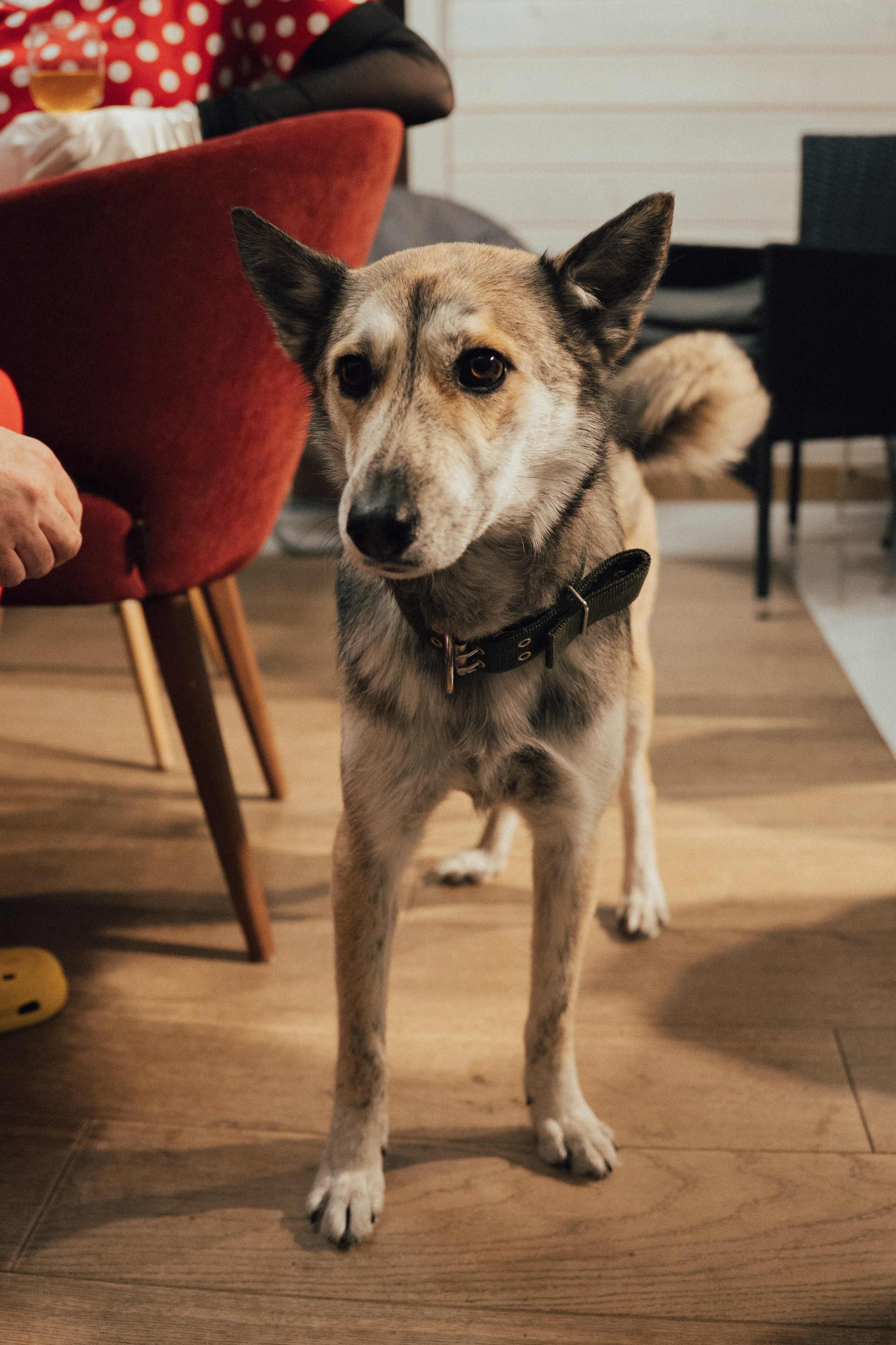 День Рождения «Союзмультфильм». Свадебный и портретный фотограф в Санкт-Петербурге Софья Каркачева