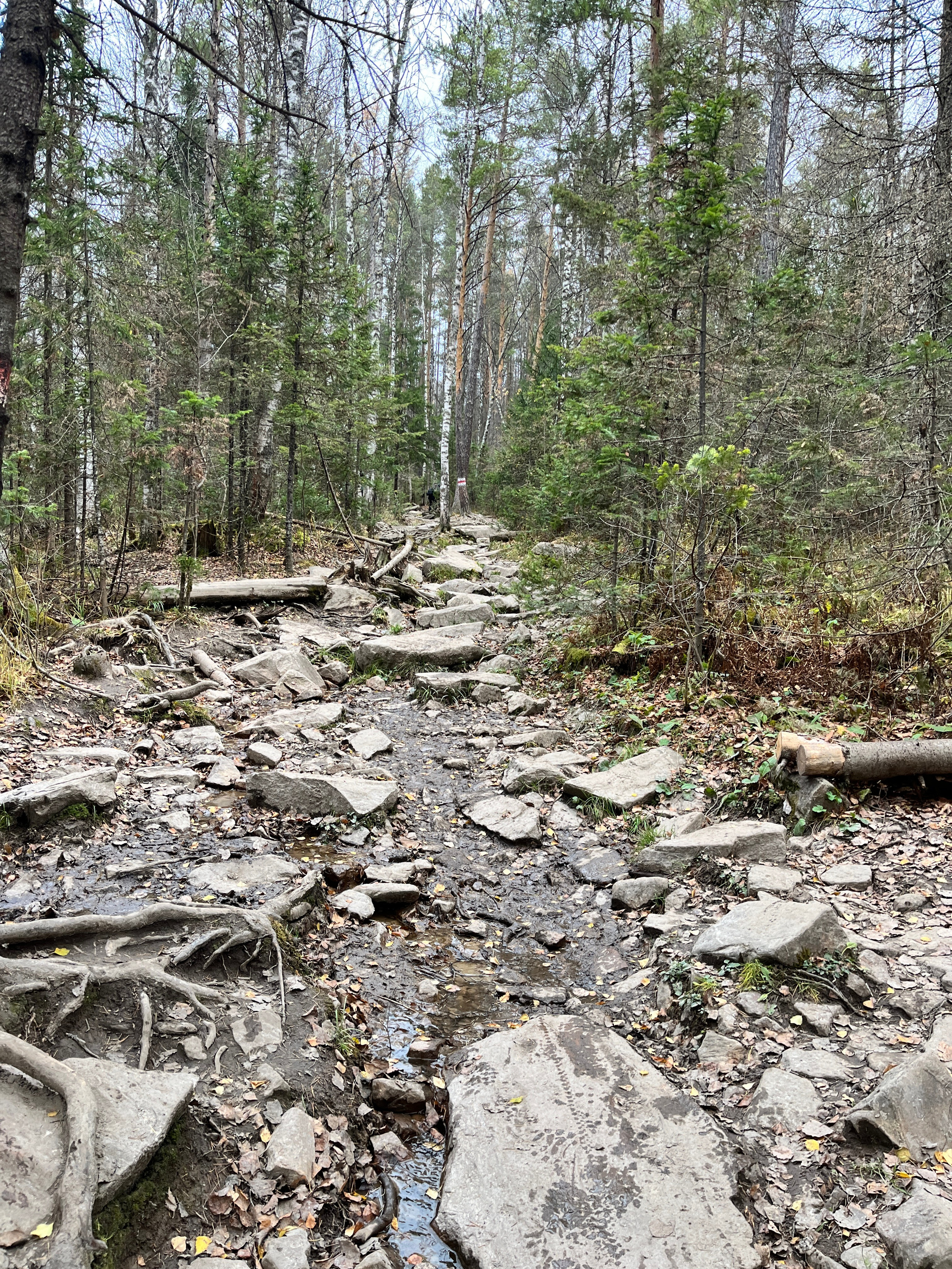 Тур на Таганай из Уфы — Время Приключений