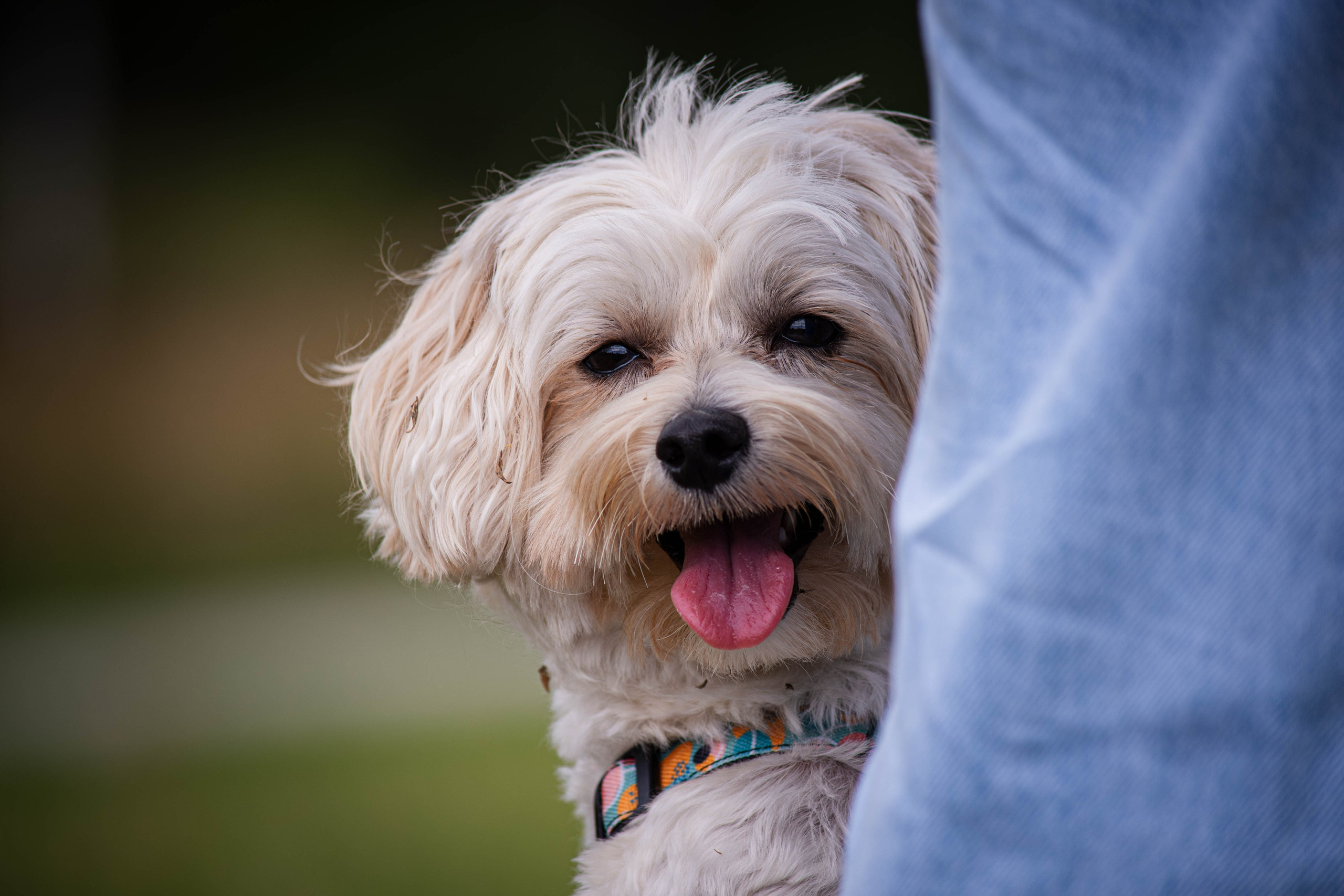 Прогулка в парке Митино. Фотограф Светлана Блинова, Москва и Московская область