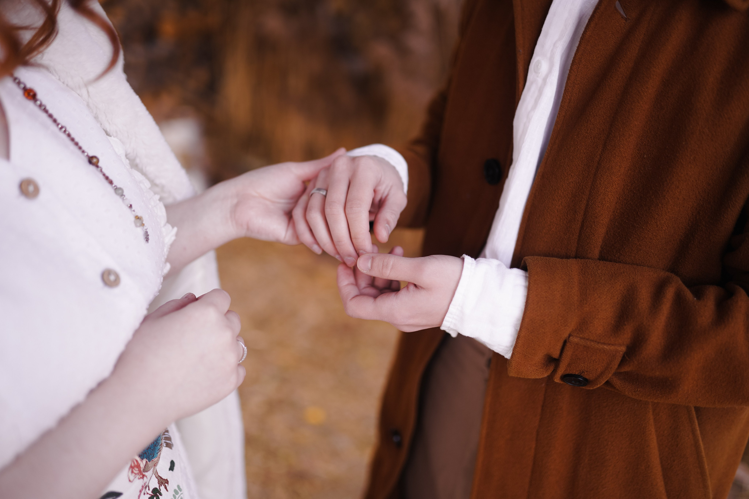 Домик на дереве