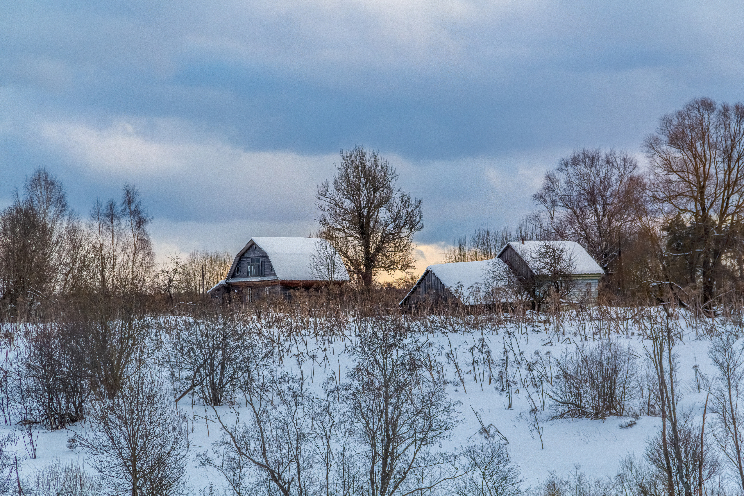Nature of the Staritsa. Winter. Site of landscape photographer Pavel Krainikov
