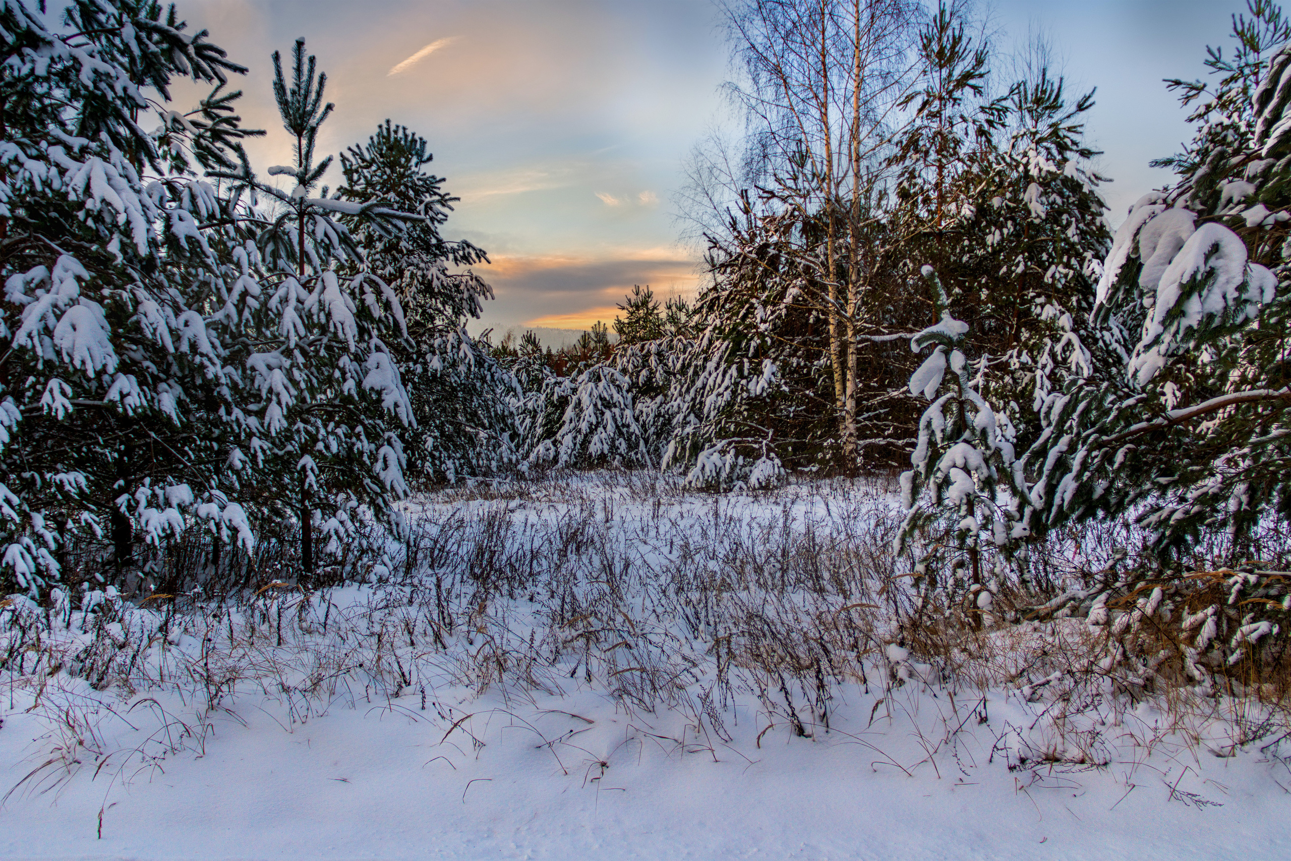 Nature of the Staritsa. Winter. Site of landscape photographer Pavel Krainikov