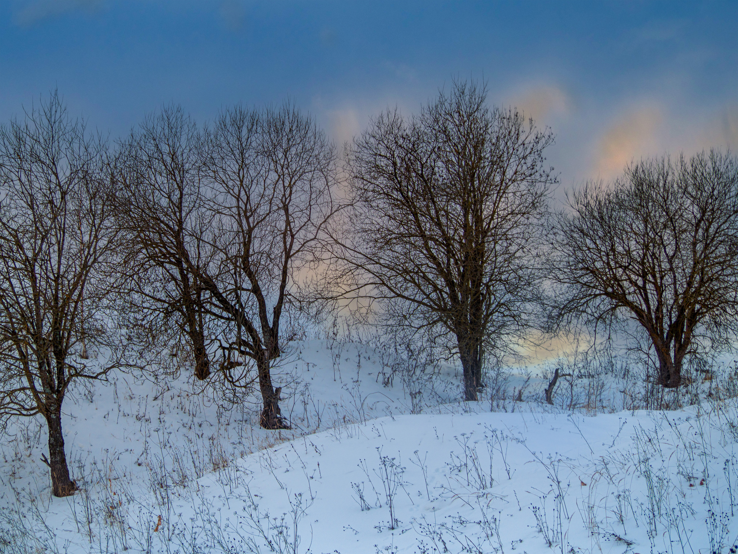 Nature of the Staritsa. Winter. Site of landscape photographer Pavel Krainikov
