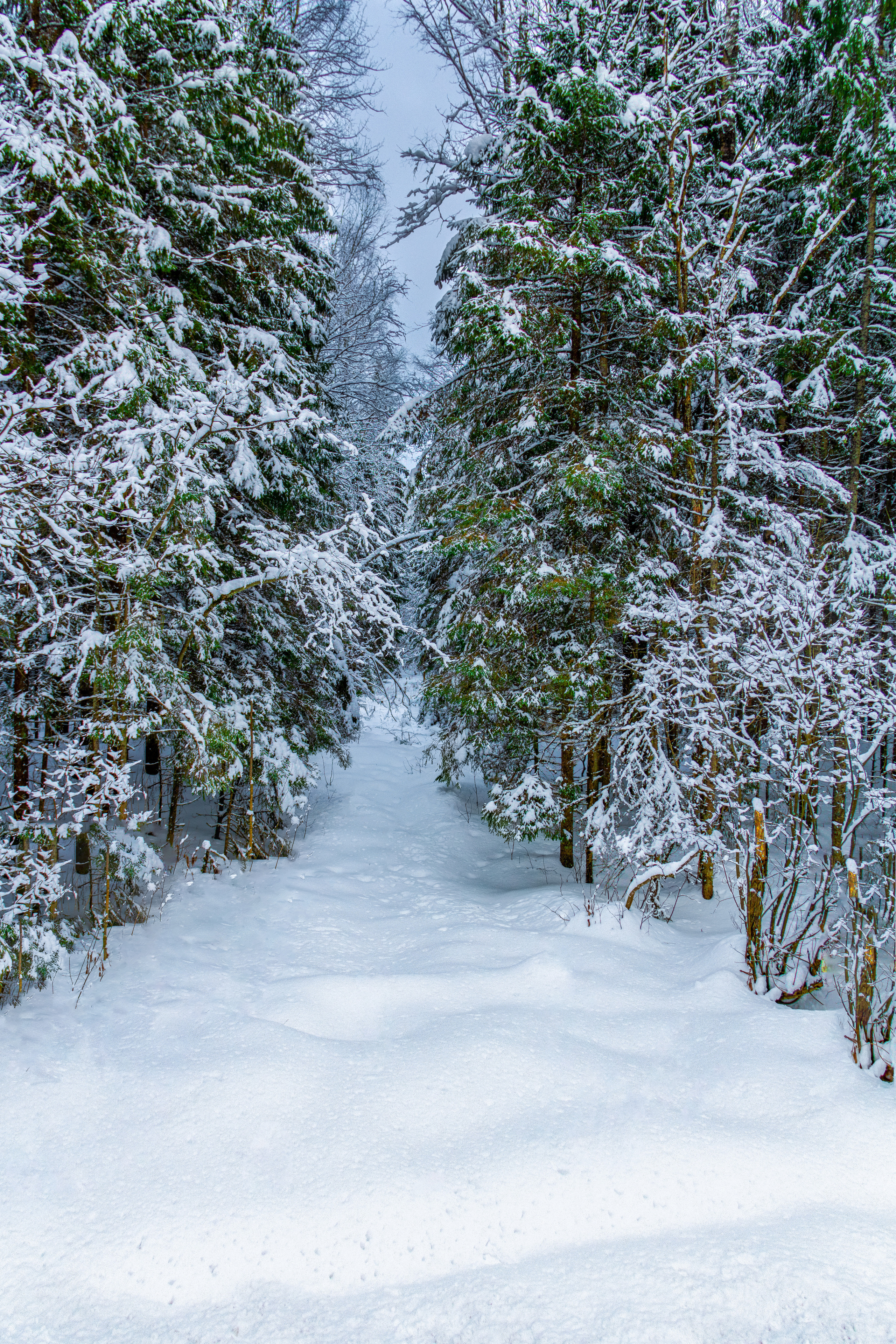 Фото Павла Крайникова