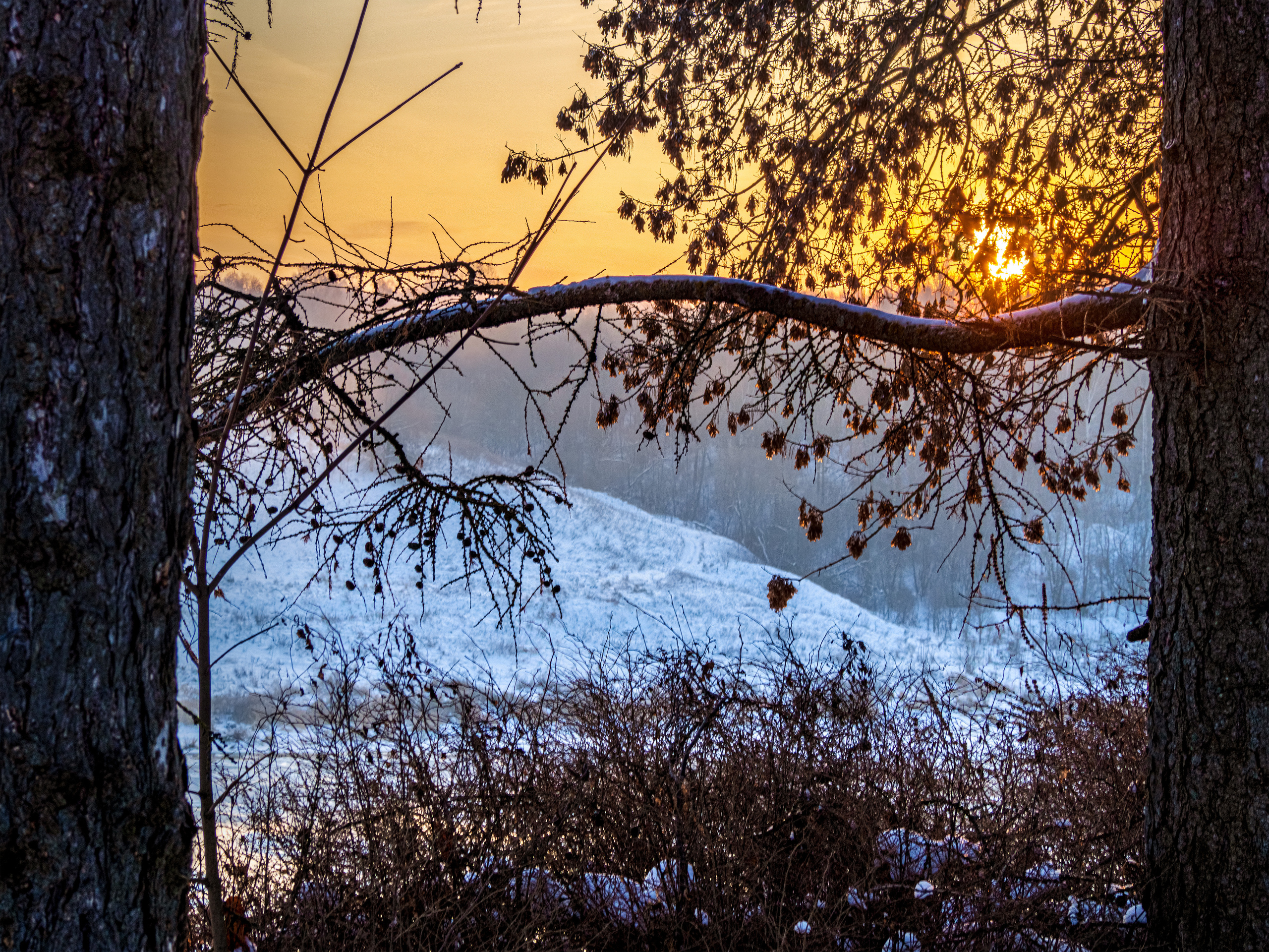 Nature of the Staritsa. Winter. Site of landscape photographer Pavel Krainikov