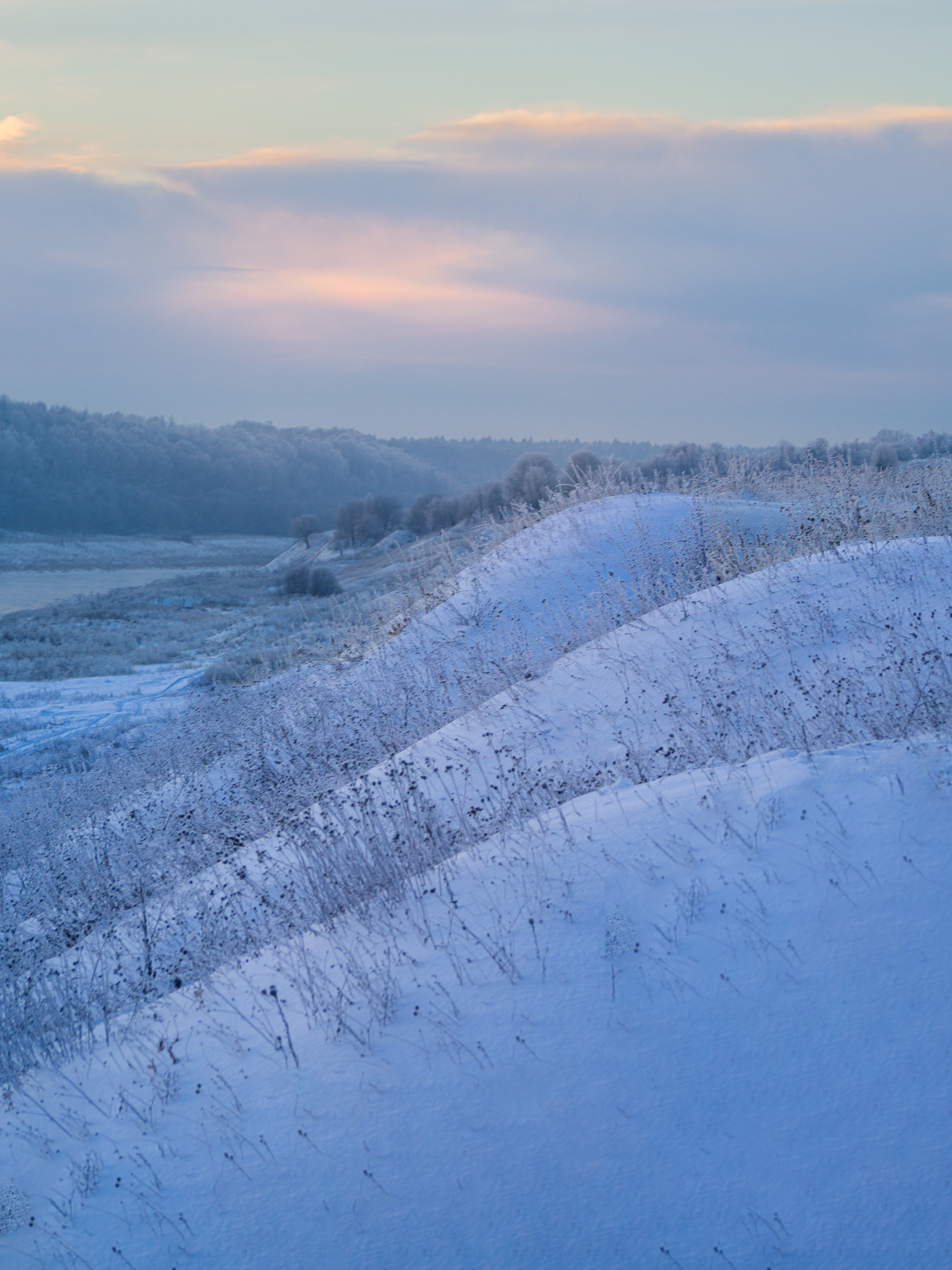 Фото Павла Крайникова