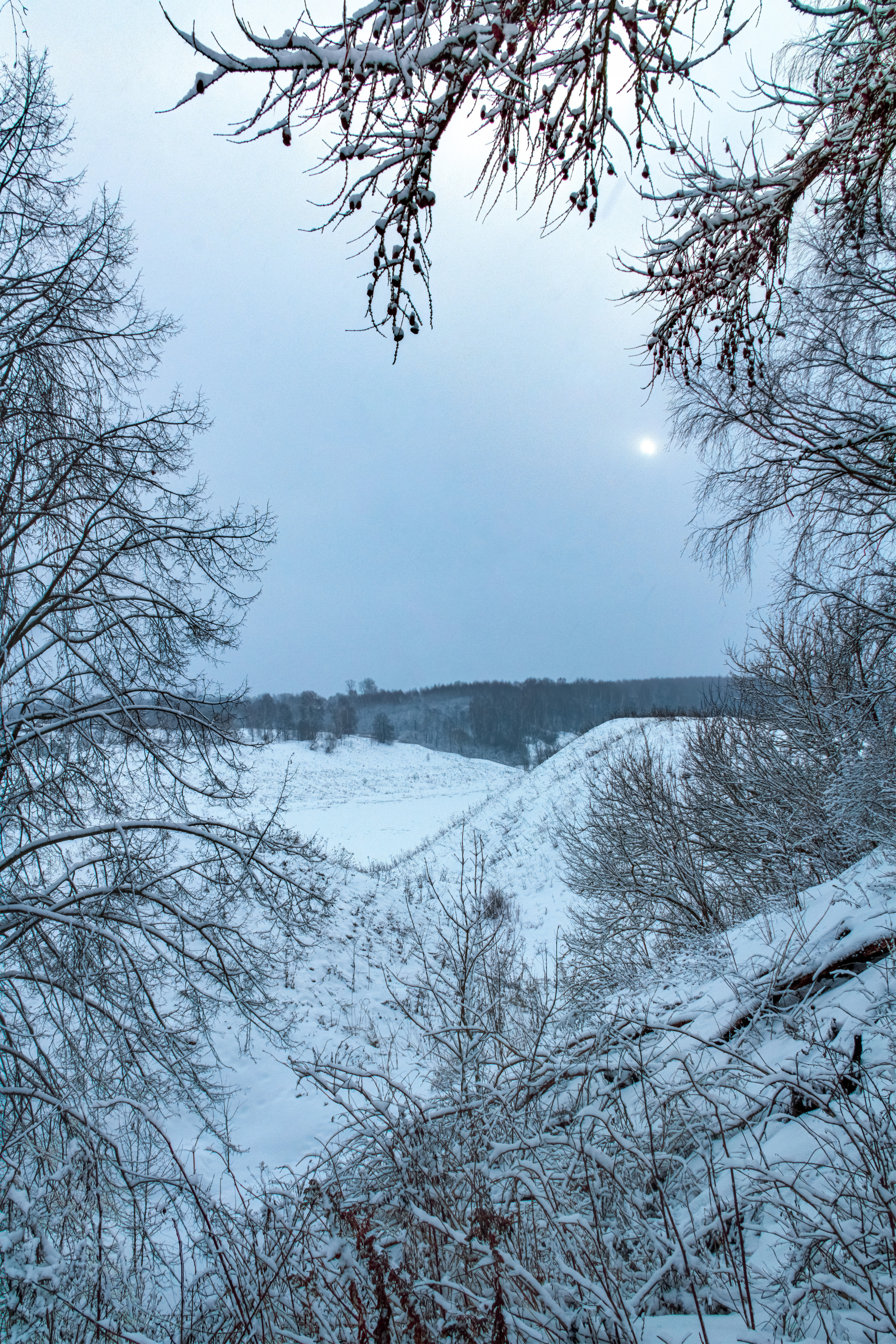 Фото Павла Крайникова