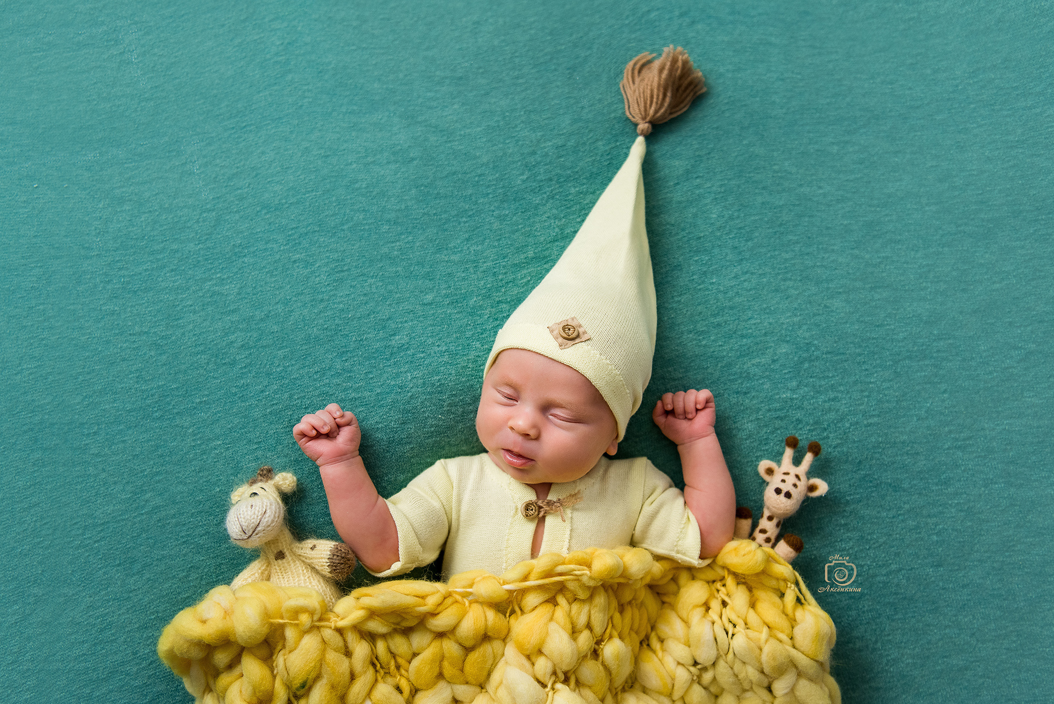 Портфолио новорожденных. Фотограф в Нефтеюганске Мила Аксёнкина
