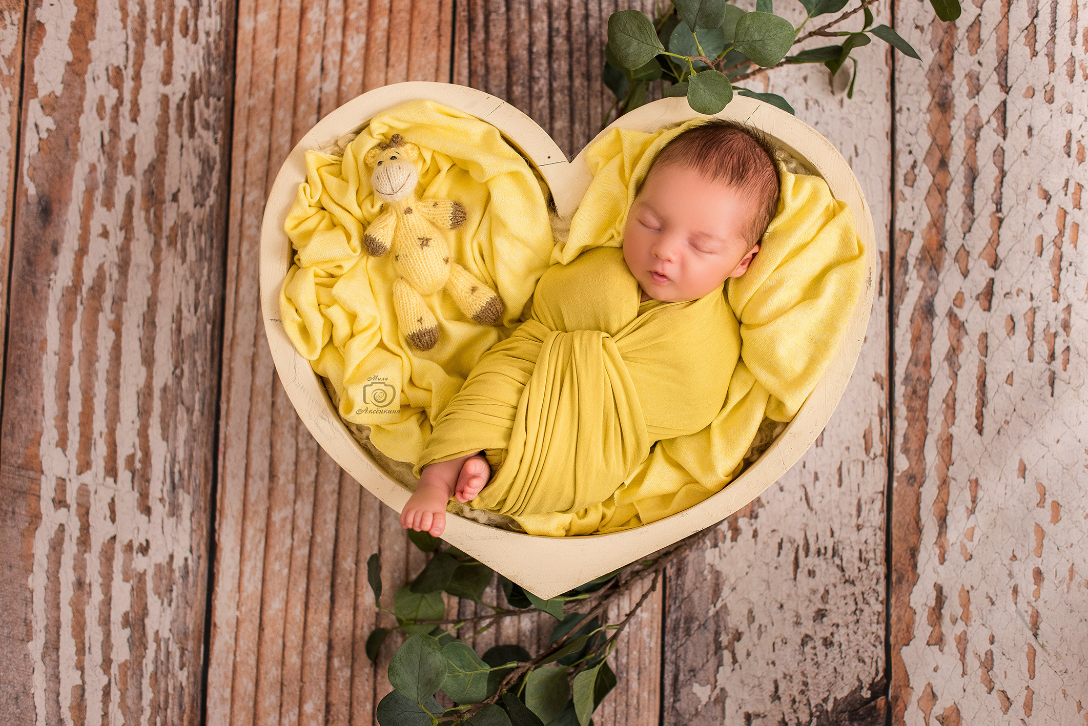 Портфолио новорожденных. Фотограф в Нефтеюганске Мила Аксёнкина