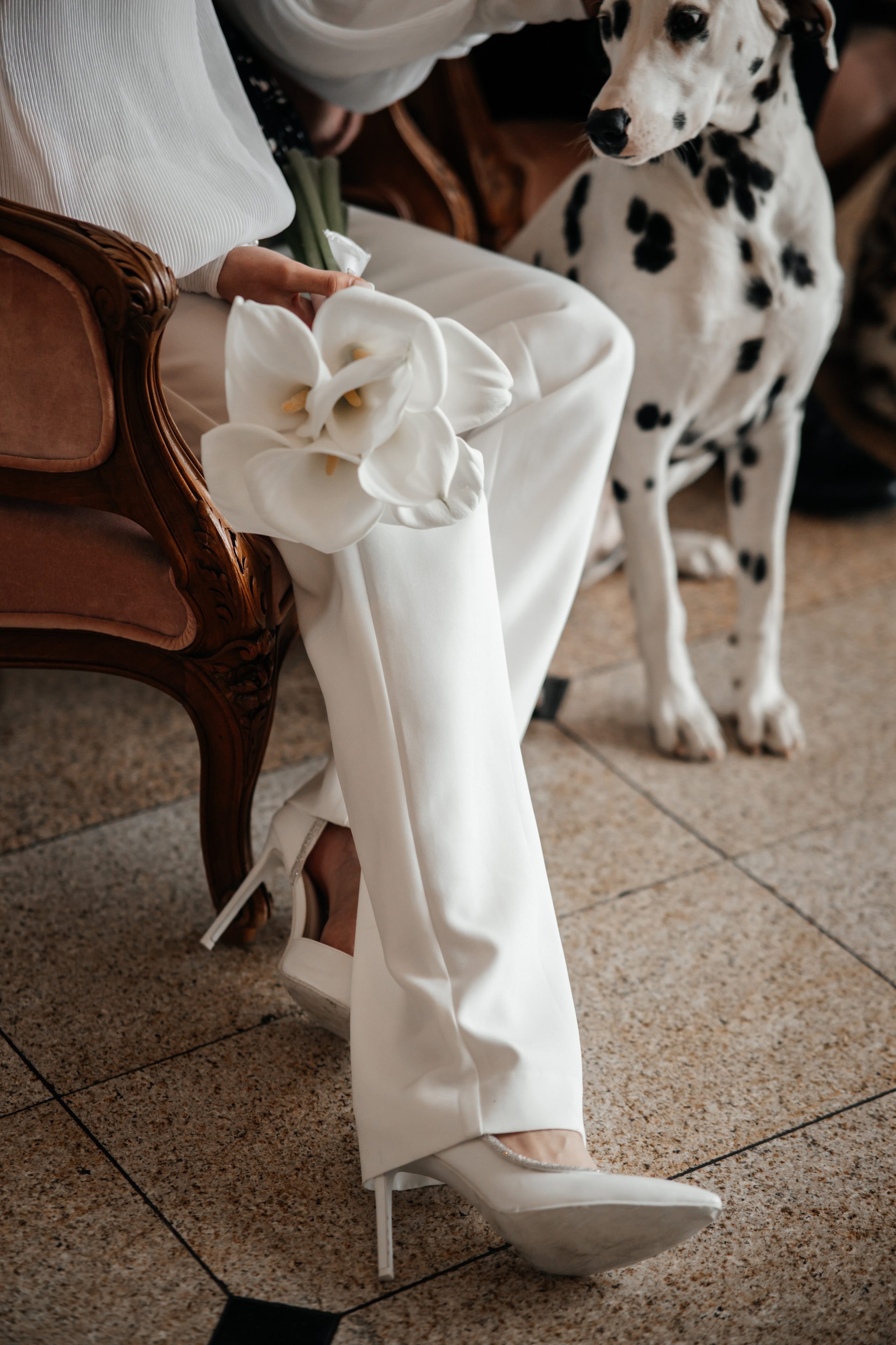 SOFIA&RUSLAN. Валерия Солнцева свадебный и семейный фотограф