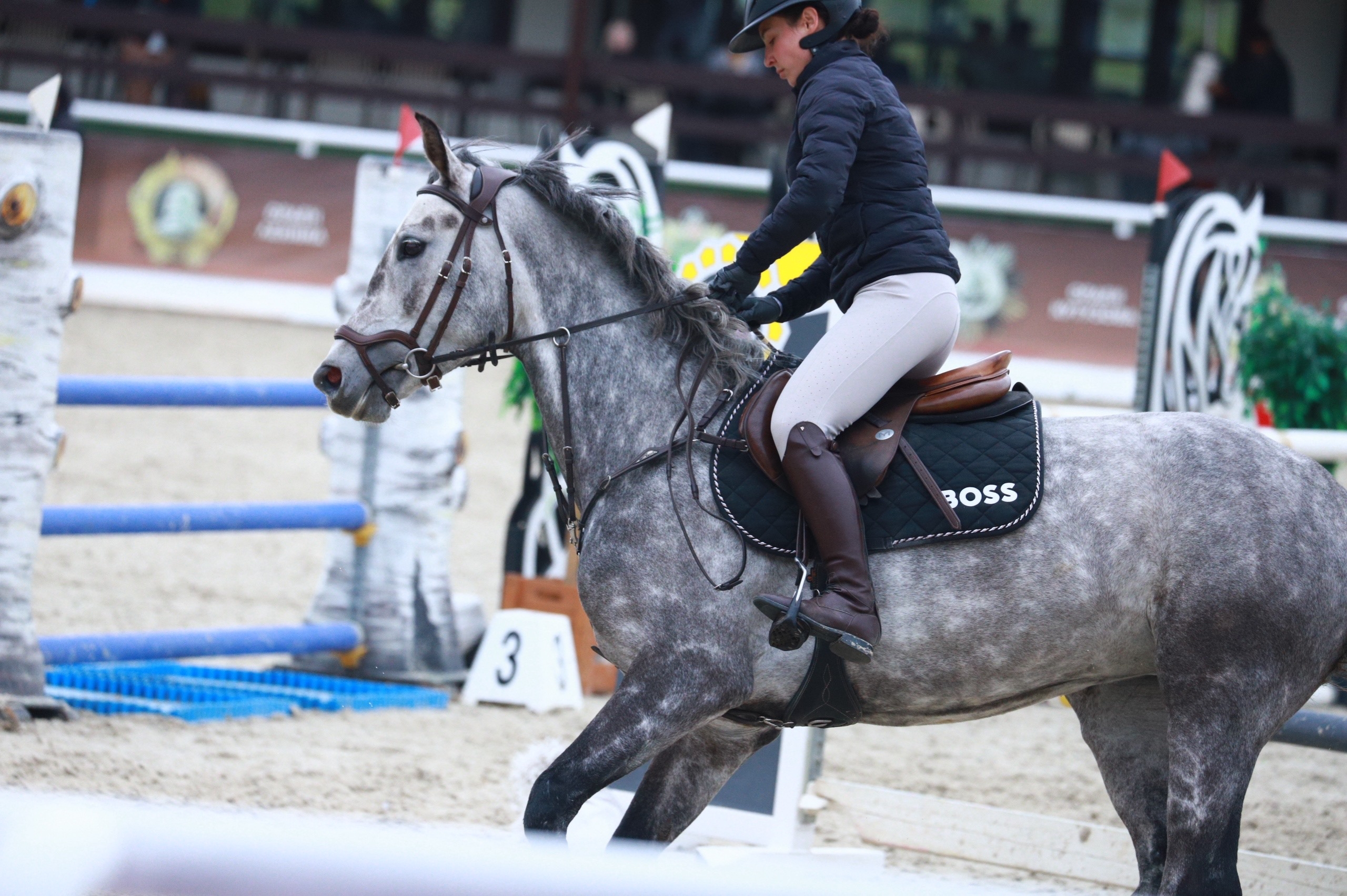 Конкур в Maxima Stables. Фотограф Самсонова Светлана
