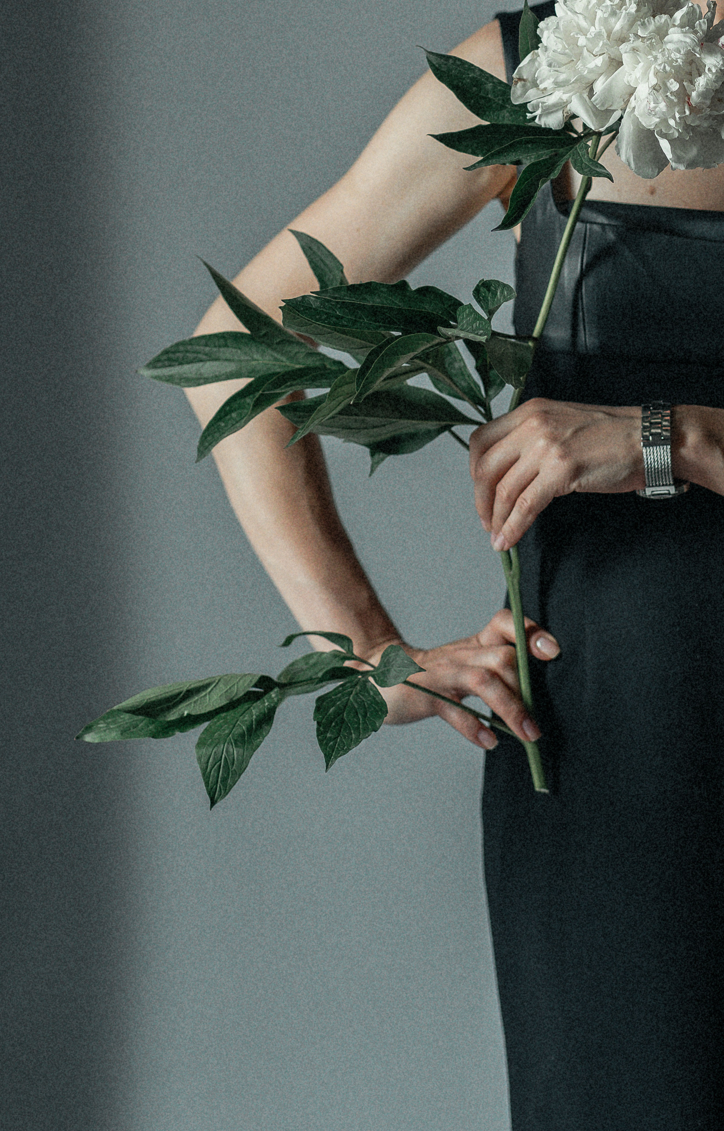 Свадебный, семейный, детский, женский фотограф в Москве Дина Мажейка