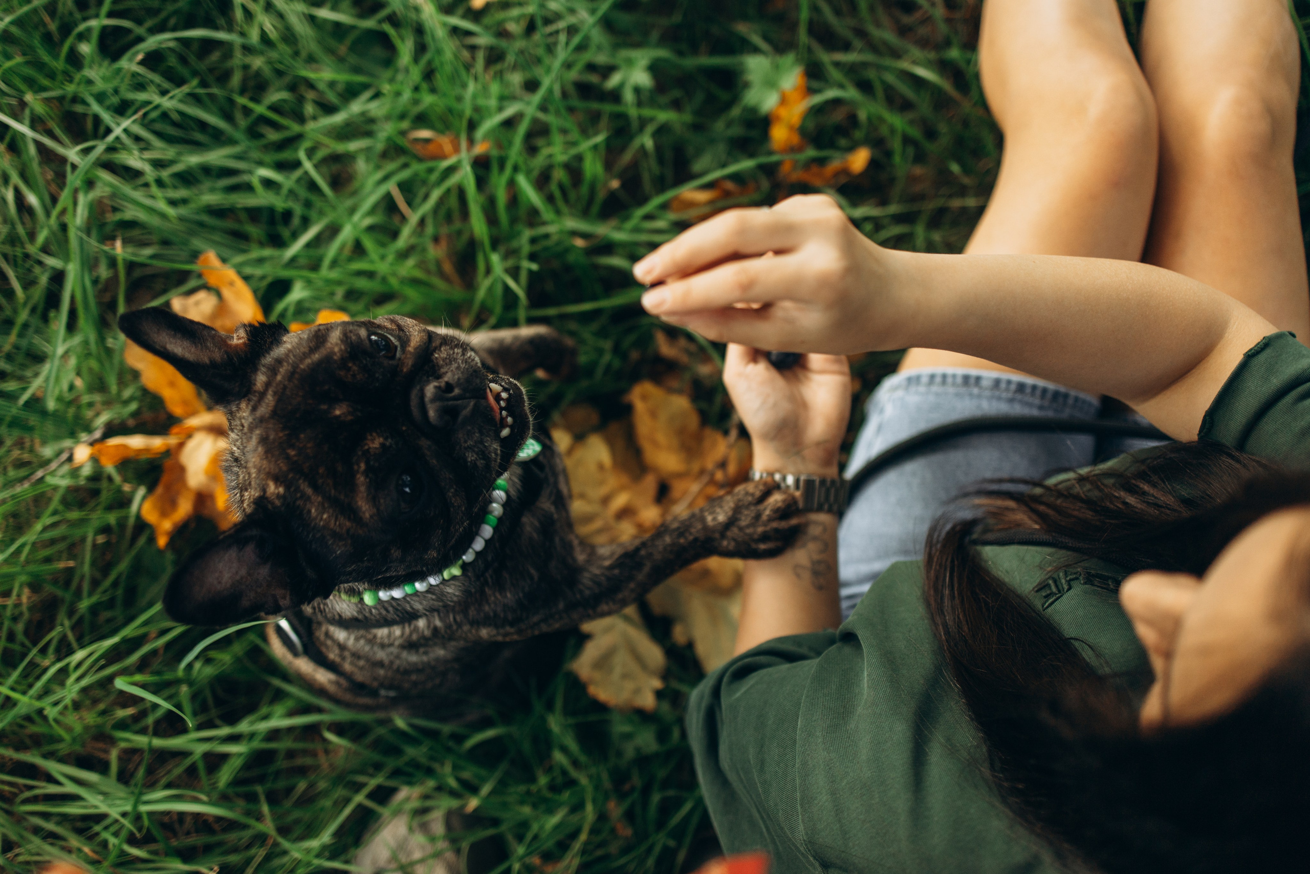 Олеся и Луи. Фотограф — Анималист | Санкт-Петербург