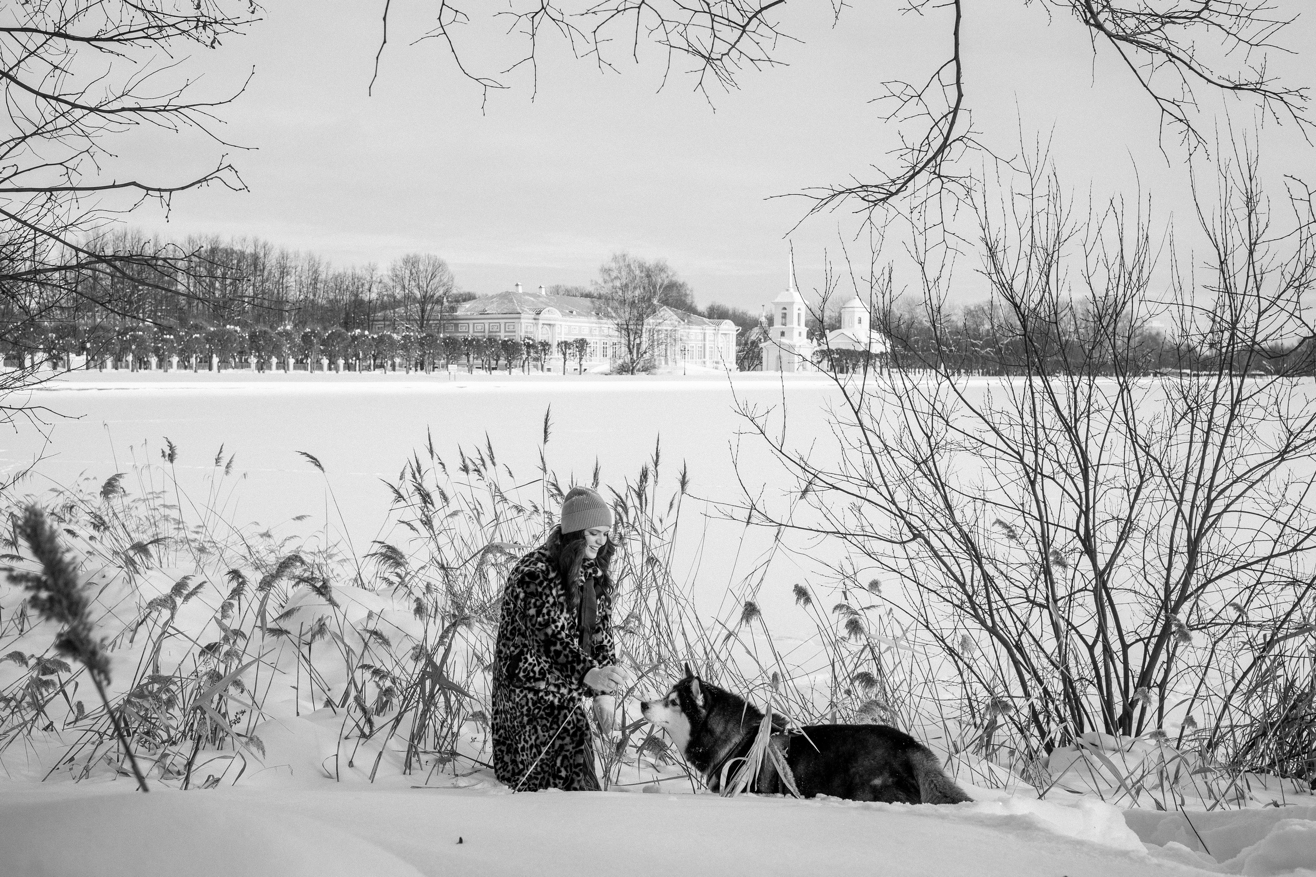 Вегас и его семья. Фотограф — Анималист | Санкт-Петербург