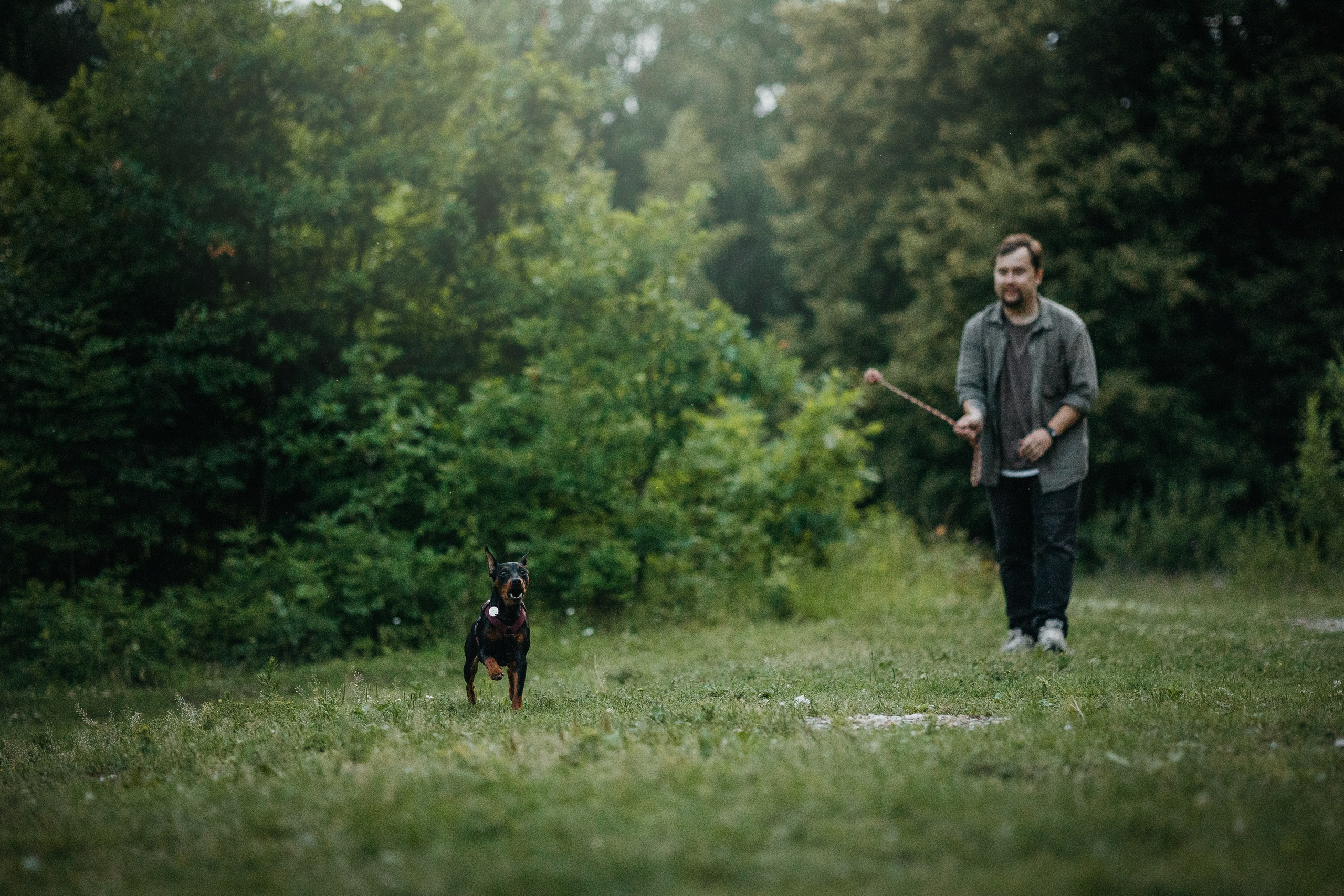 Сириус и его семья. Фотограф — Анималист | Санкт-Петербург