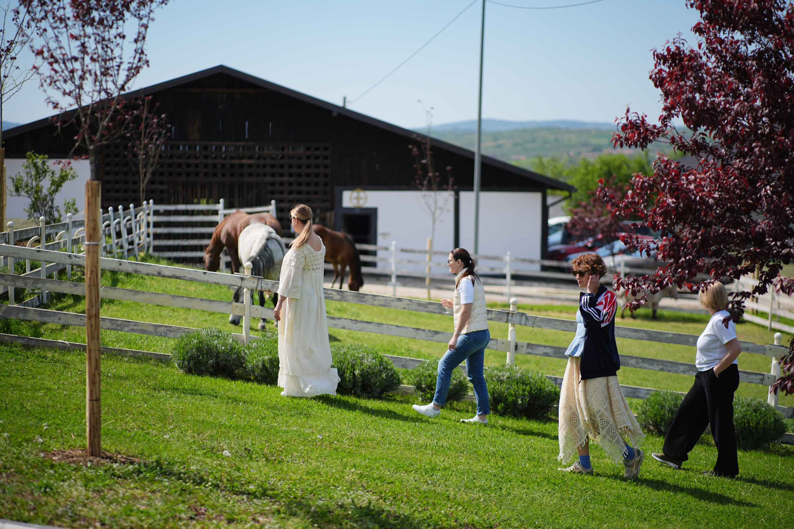 Выезд РЕН ТВ Сербия 2026. EVEREST PHOTO REPORT