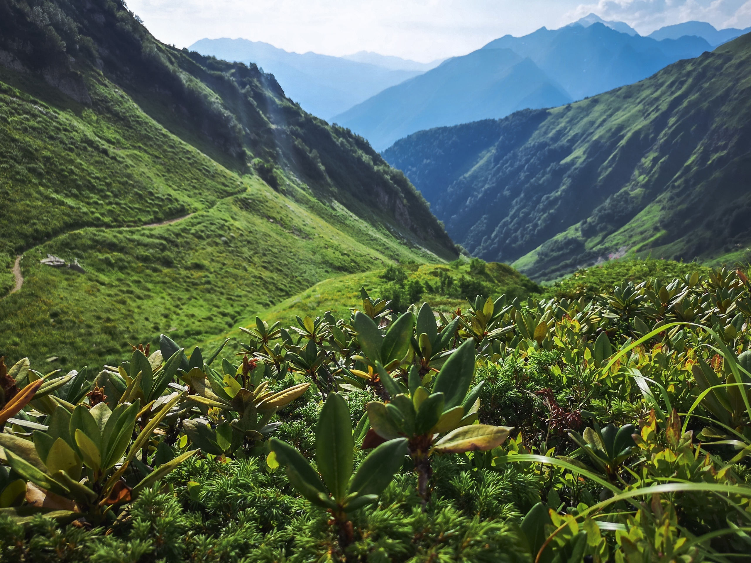 Blog. Photographer and Videographer in Argentina, BA | Photography & Video