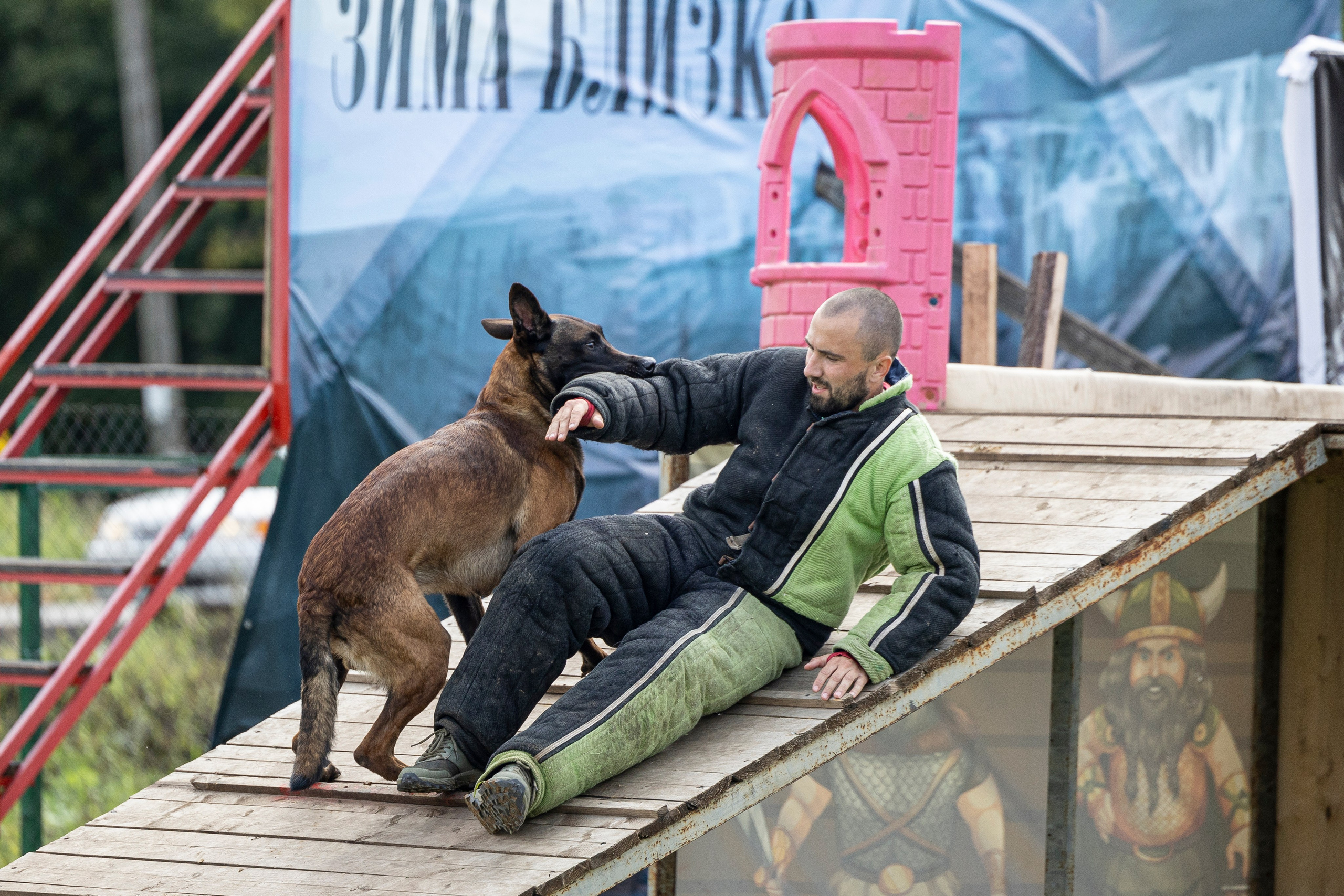 Соревнования по Мондьорингу г. Вологда 10-11.08.2024. Фотограф-анималист Анна Маринич