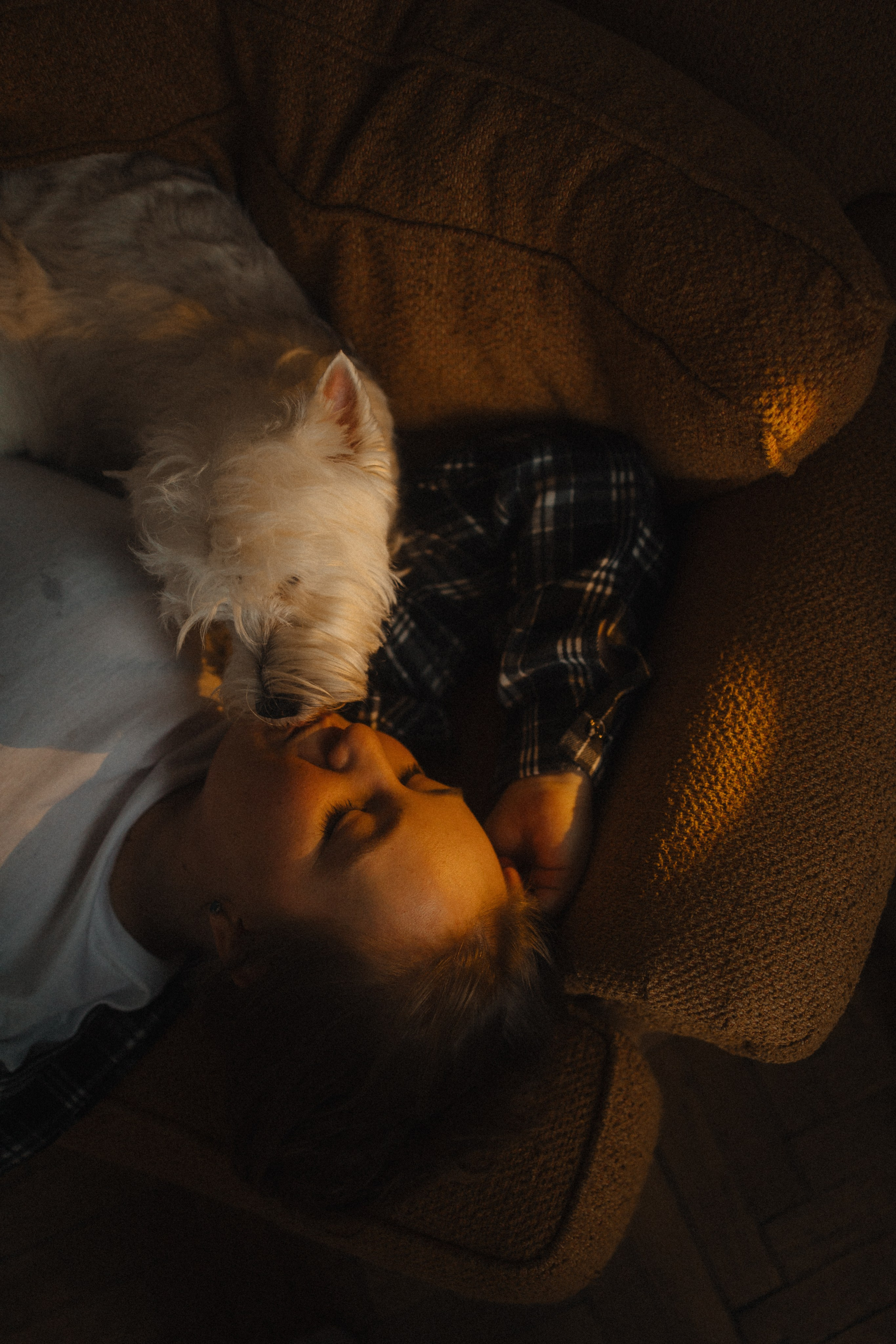 Вероника, Мята и Малина. Фотораф — анималист Мария Шистка