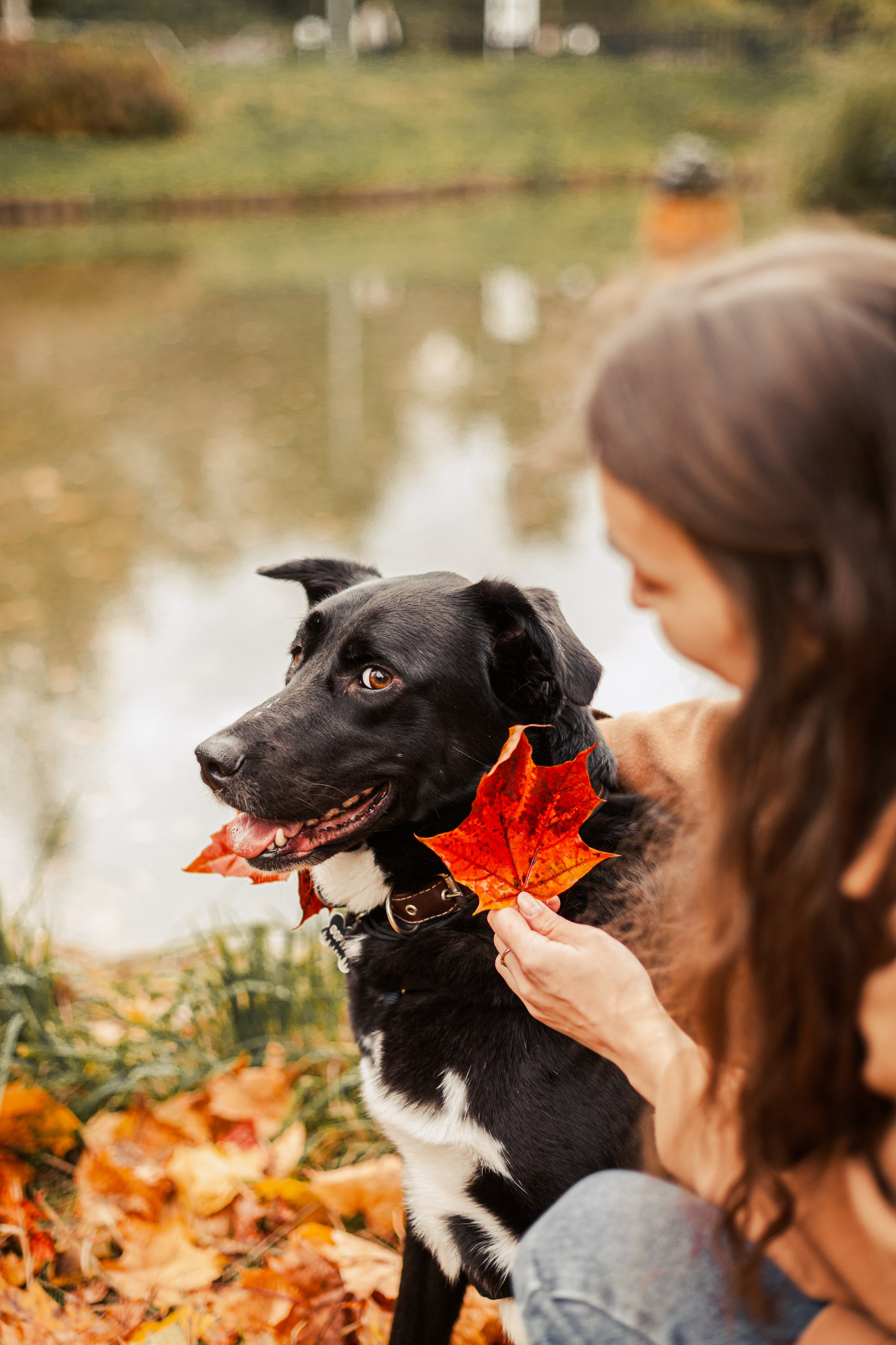 Юля и Фортуна. Фотограф-анималист Татьяна Степанова