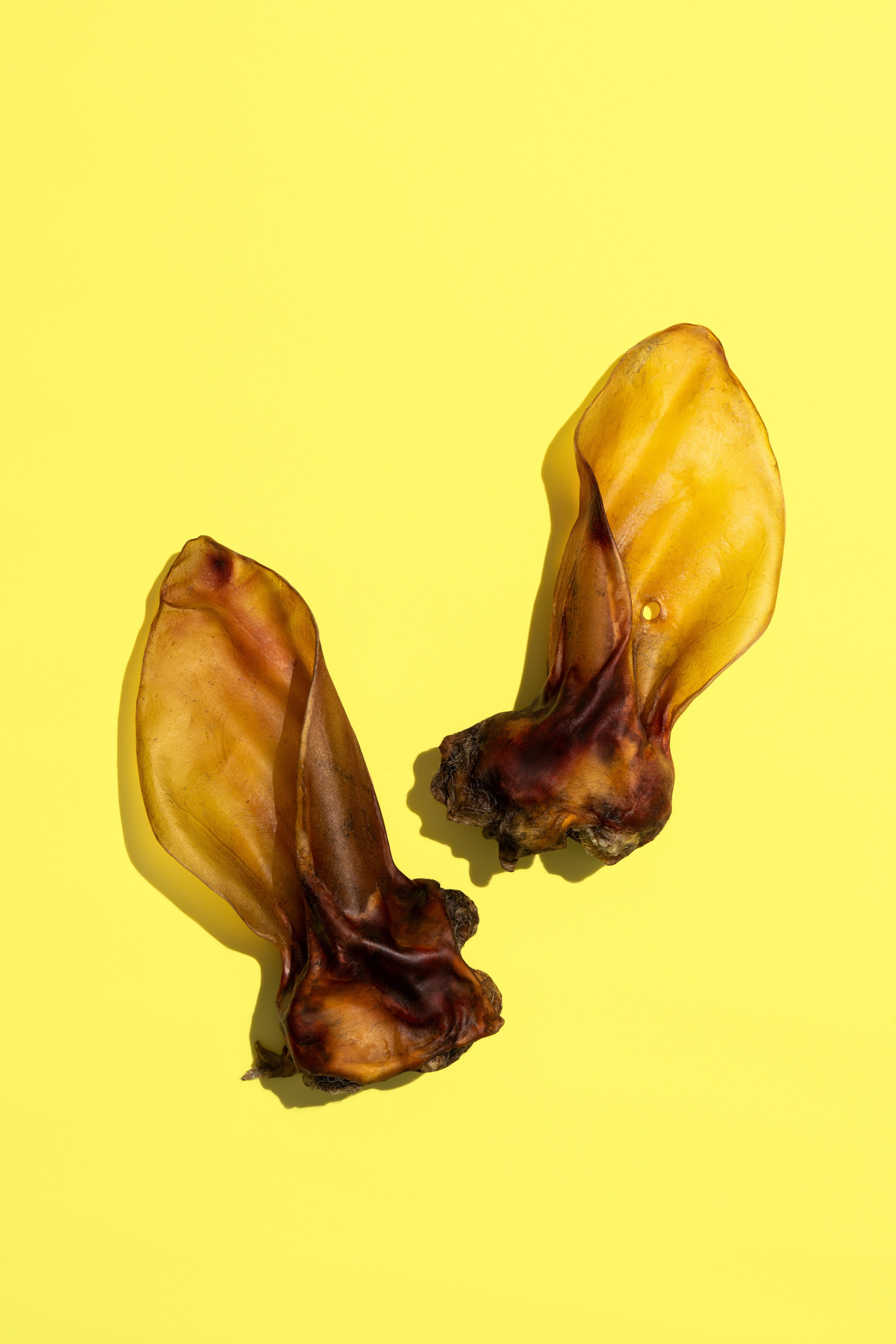 Товары для животных. Оксана Ильенко. Предметный фотограф и сет-дизайнер, Санкт-Петербург