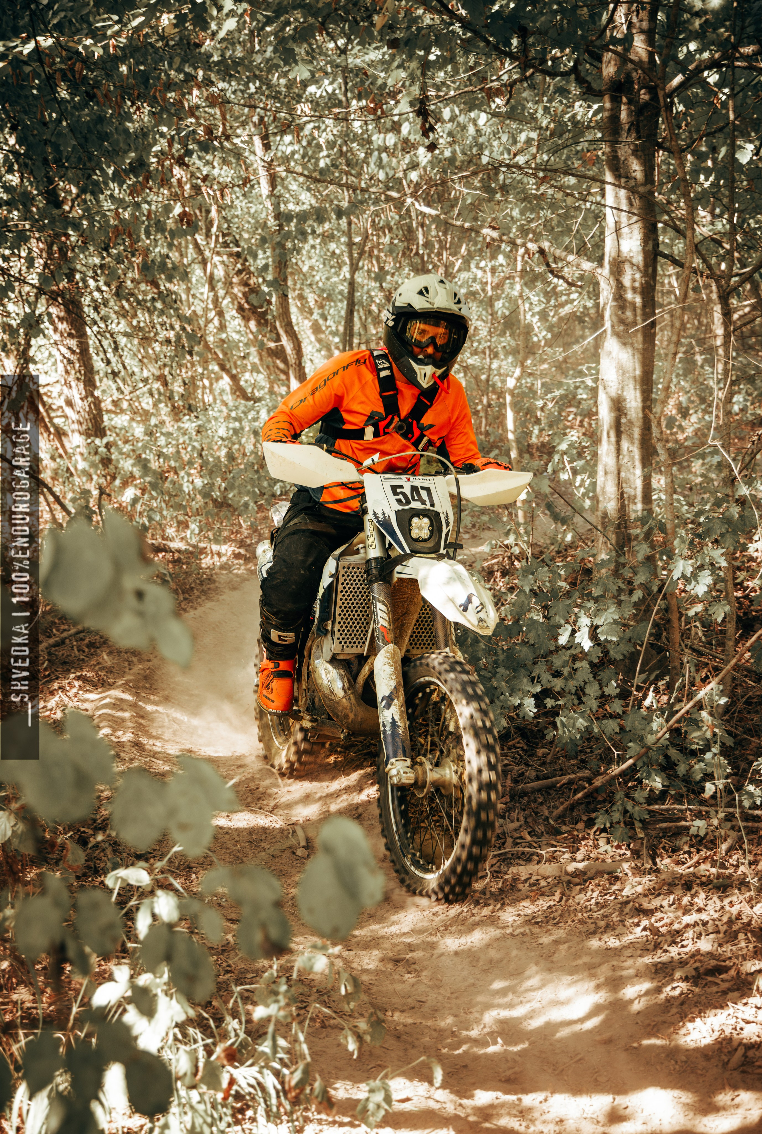 1 лесной день. Ваш экстрим фотограф Кудрева Яна