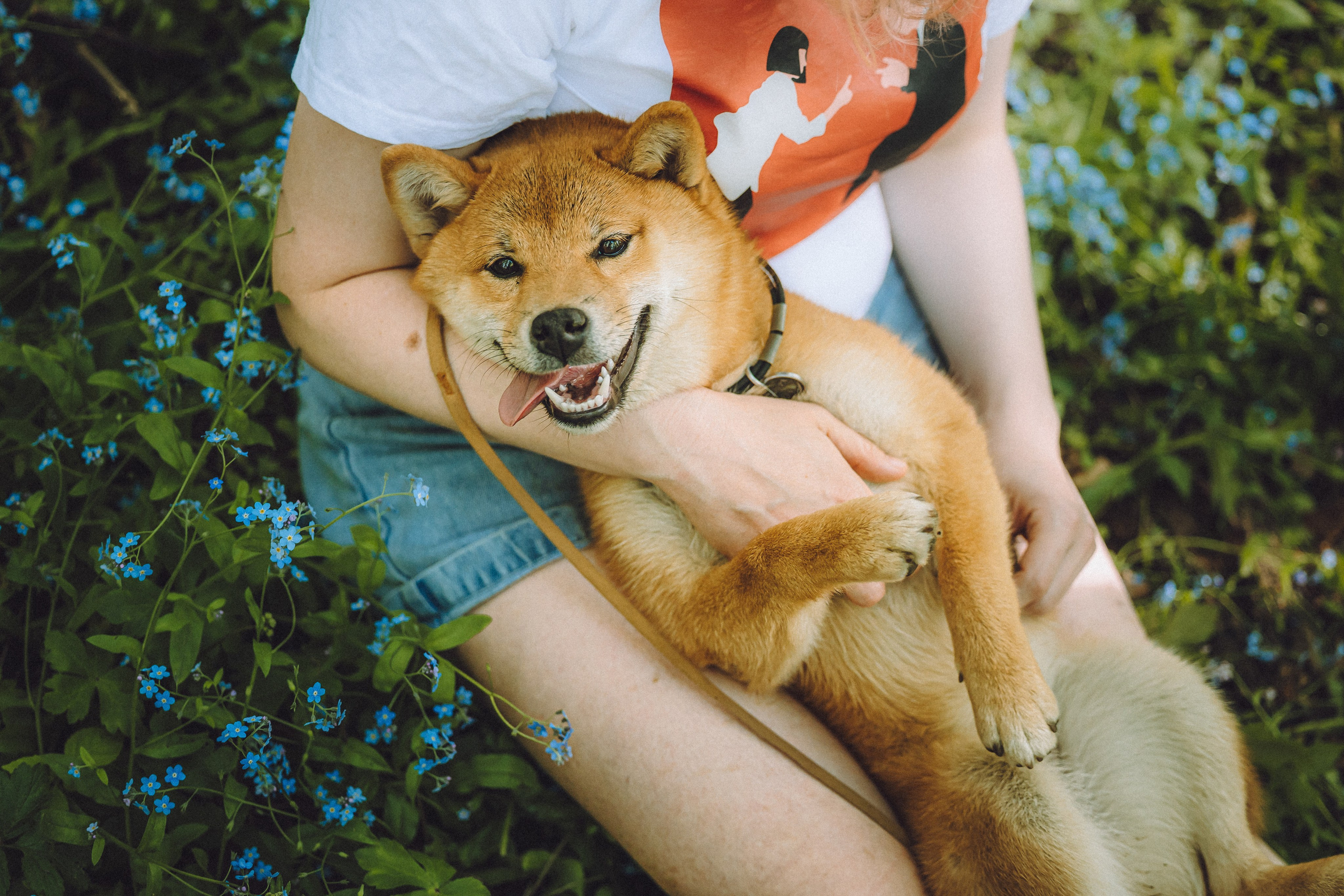 Шед, Цири, Чиби, Цера и их семья