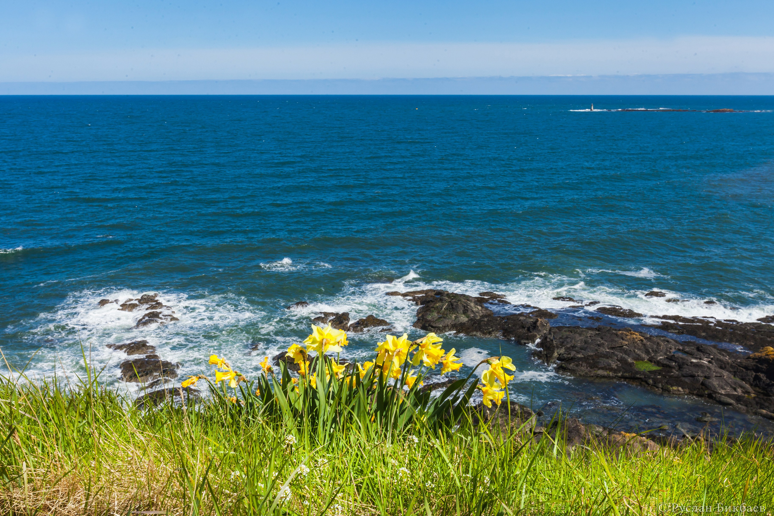 ШОНТЛАДНИЯ / SCOTLAND. Главная