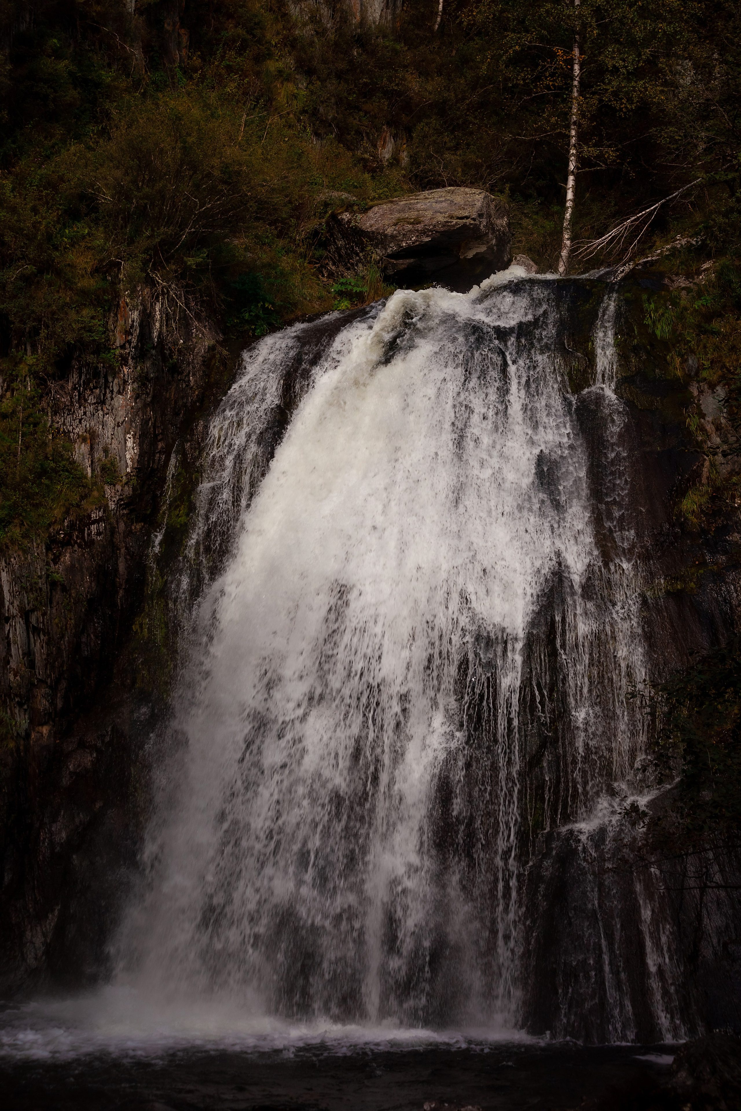 АЛТАЙ 2024 / ALTAI 2024. Главная