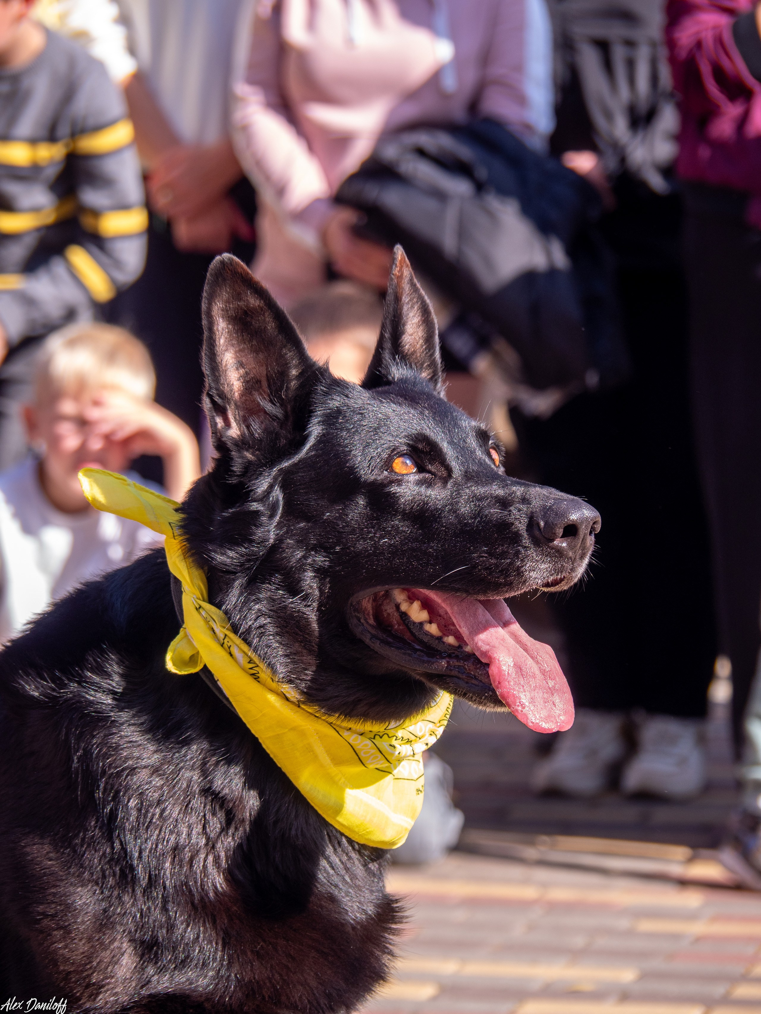 Обнимака 2025. Муром-Инфо. Новости культуры, образования, спорта в городе Муром