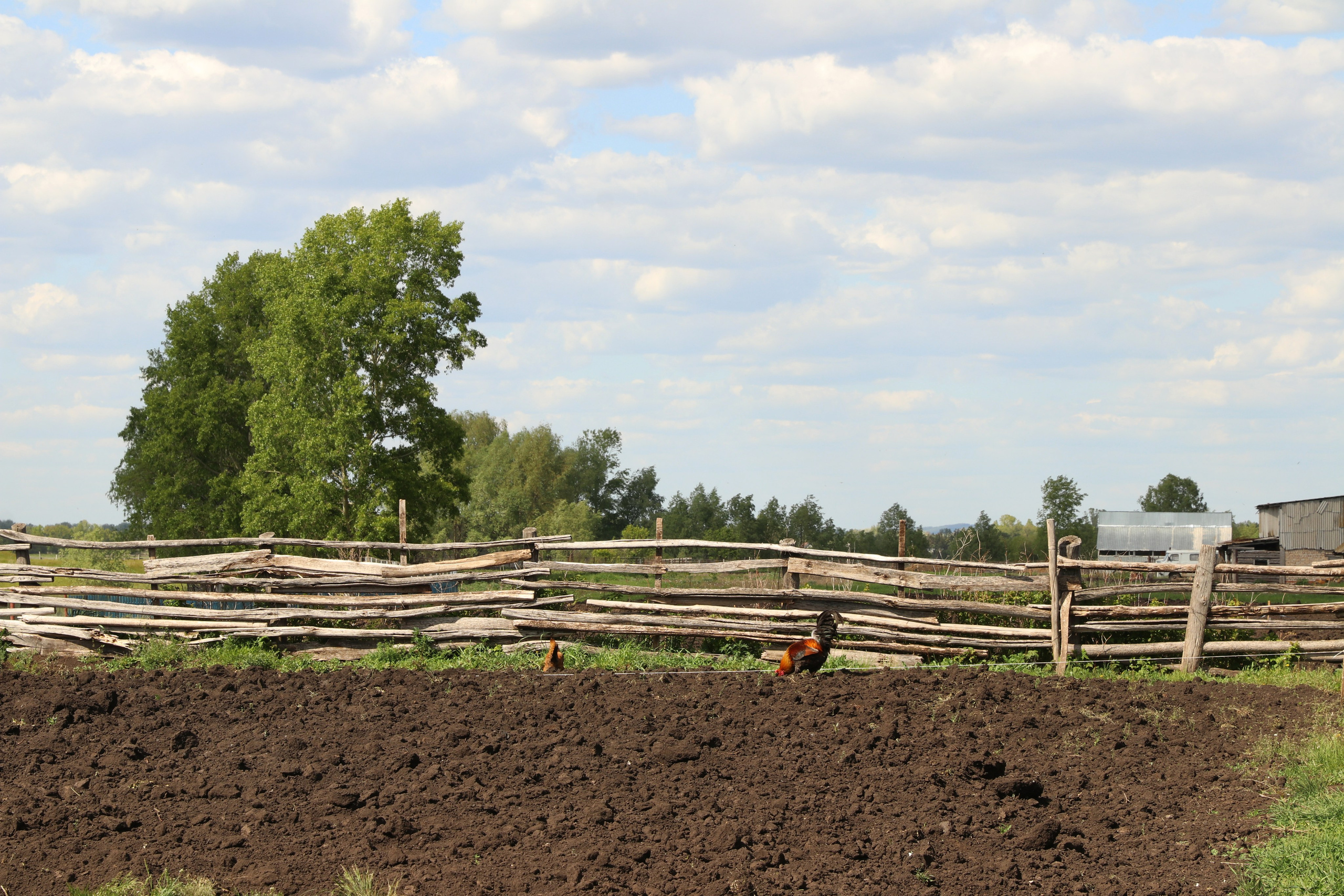 Велопоход Уфа — Мелеуз. Май 2024. Путешественник-фотограф из Санкт-Петербурга Татьяна Свистулина