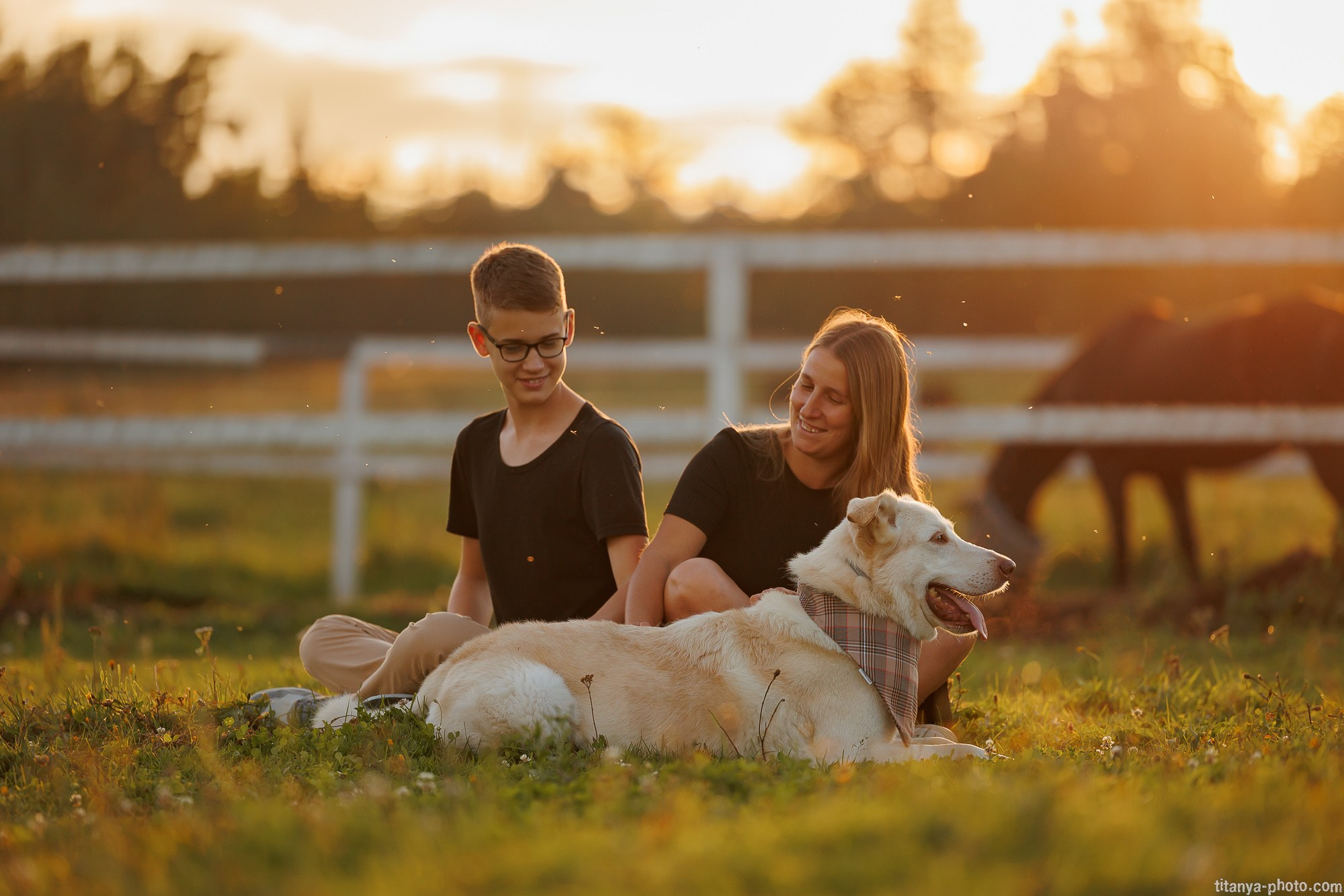 Закатная семейная фотосессия: про Настю и её дружную семью. Фотограф собак, фотограф-анималист Аня Титова (Titanya). Москва