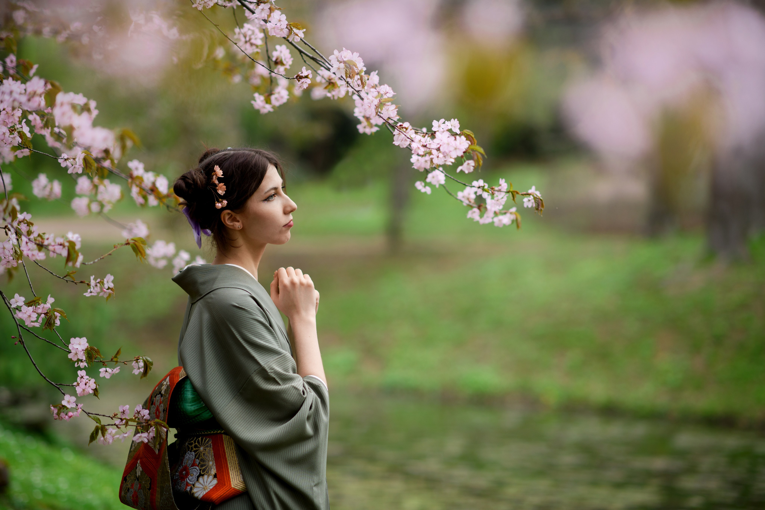 Любование цветением сакуры в Японском саду. Главная