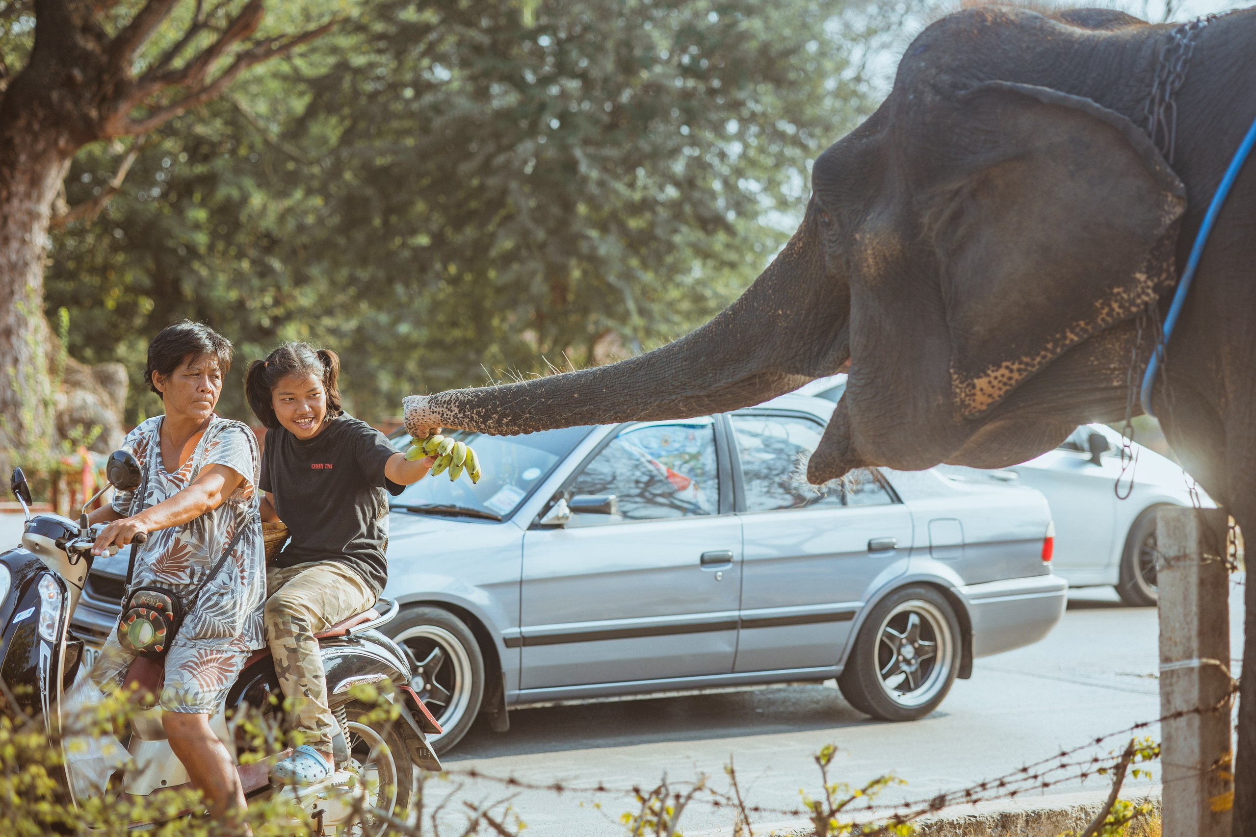 Ayutthaya. Photographer Sonkina Tatiana (Tanya Ash)