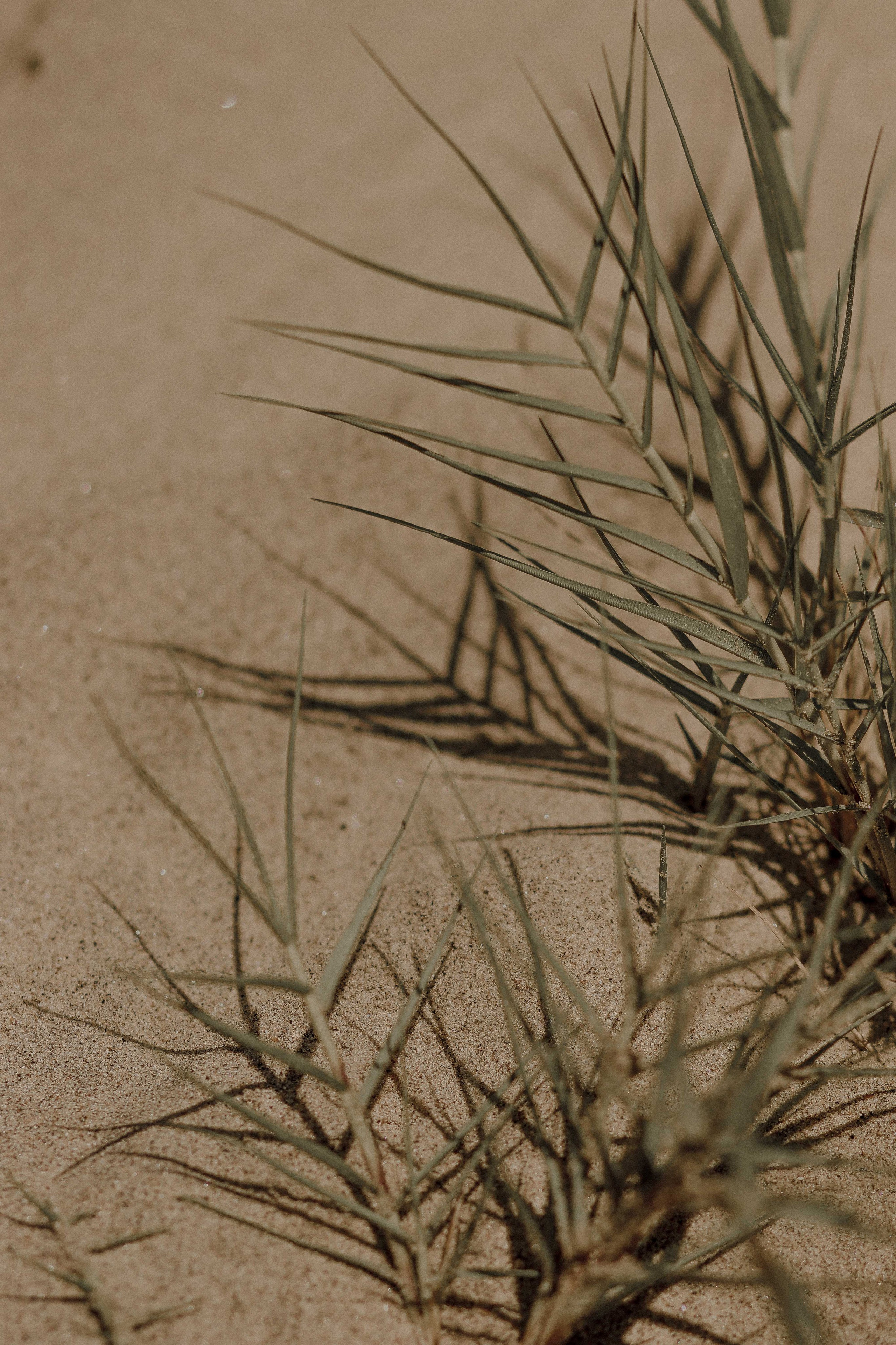 Коллекция украшения из натуральных камней. Фотограф на Шри-Ланке