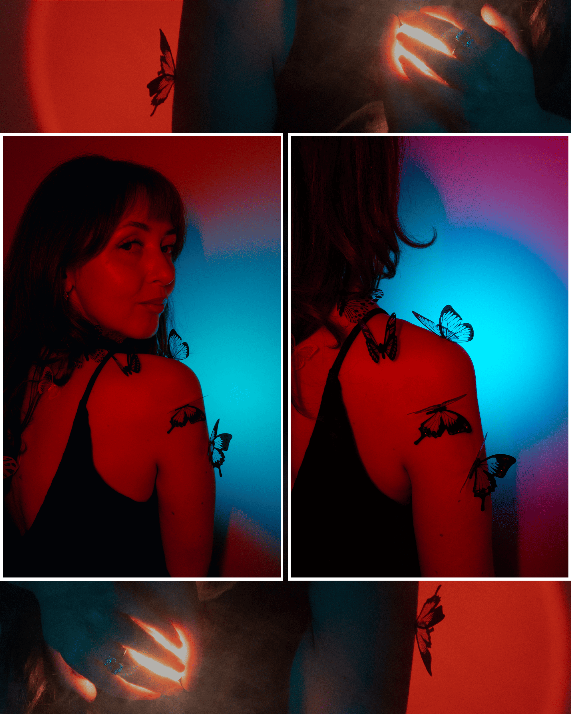 Бабочки. Фотограф Алиса Аспер