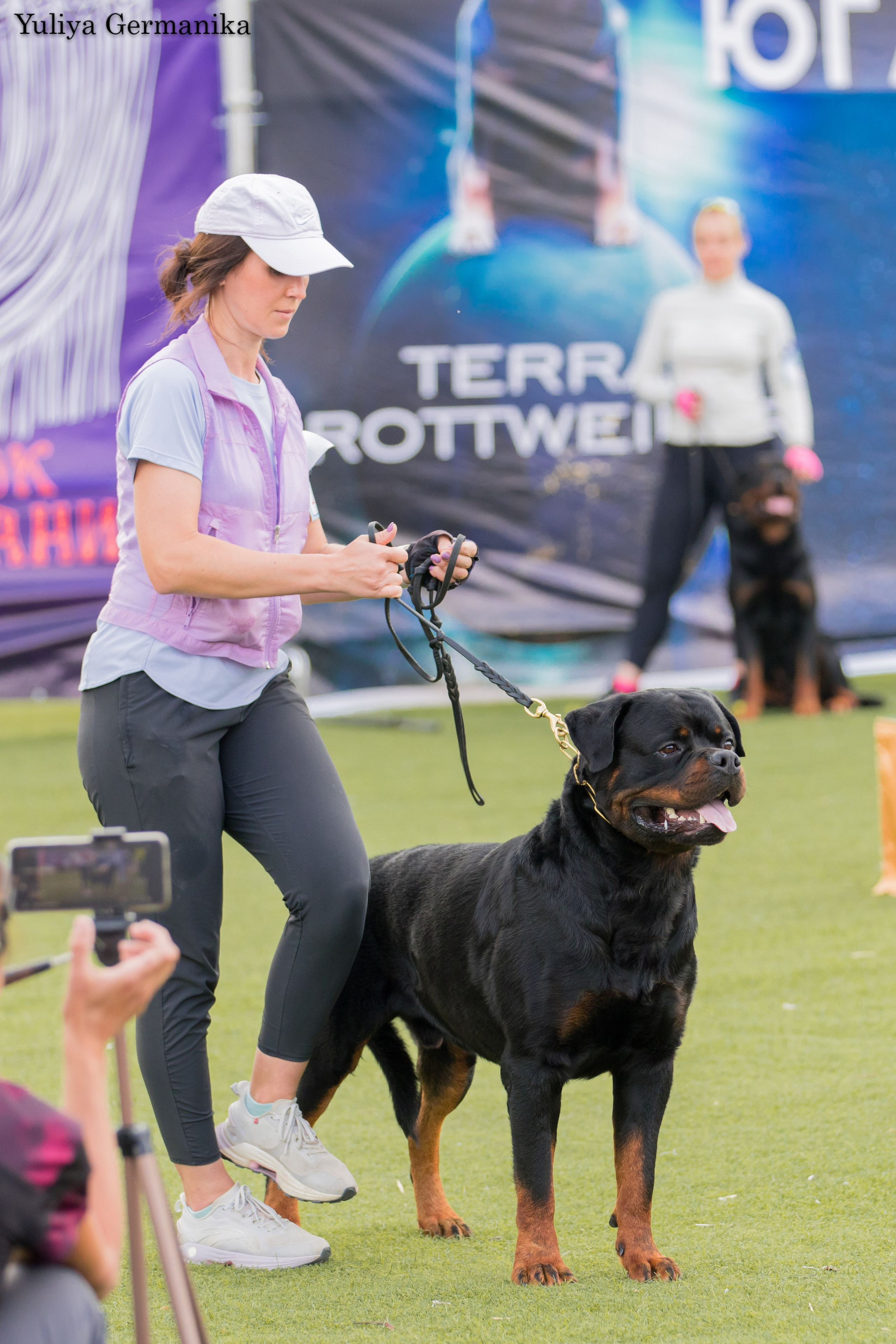 Анапа 16-17.09.2023 моно ротвейлеров. Фотограф-анималист Юлия Германика