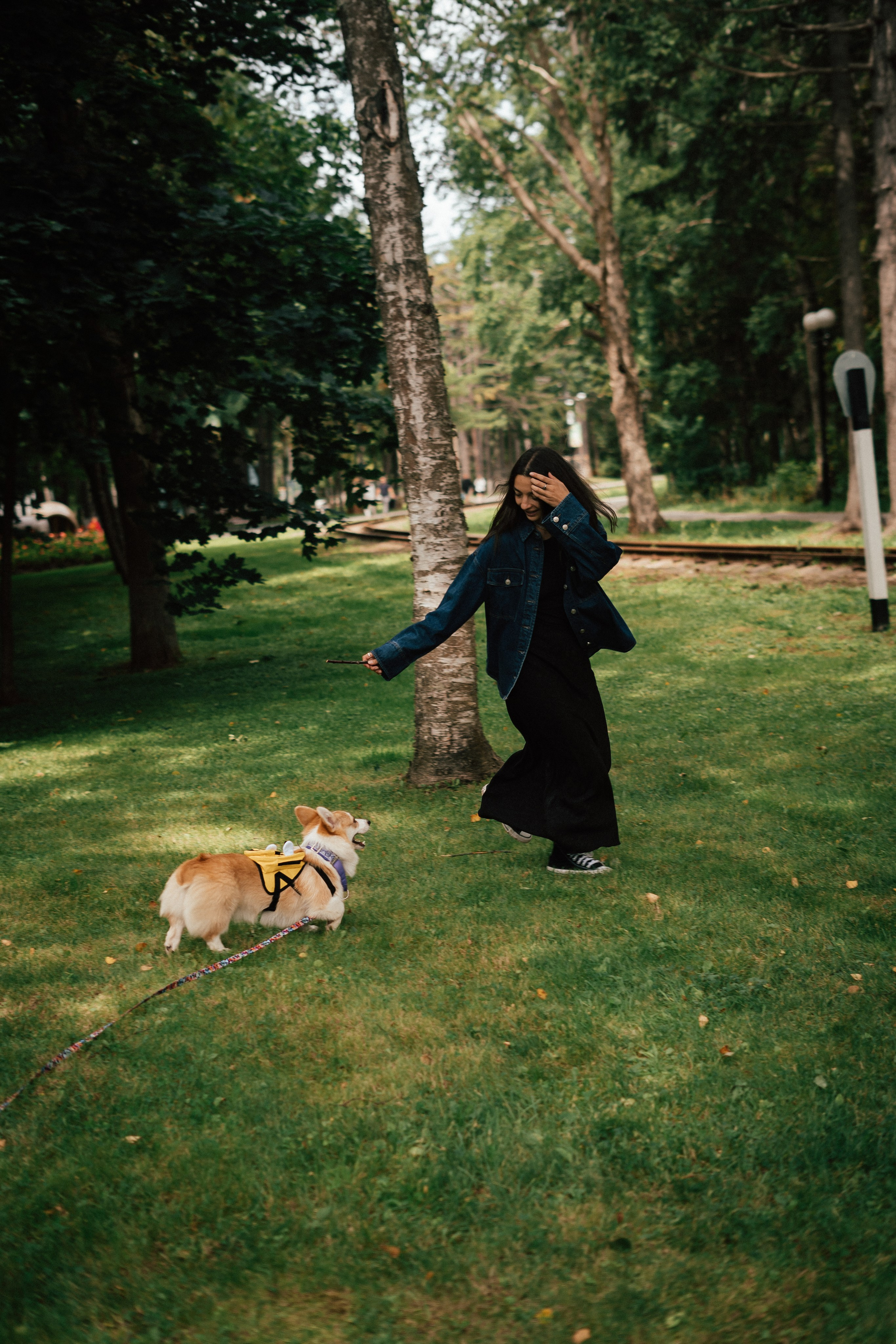 Фотосессия с собакой сахалин. Фотограф сахалин